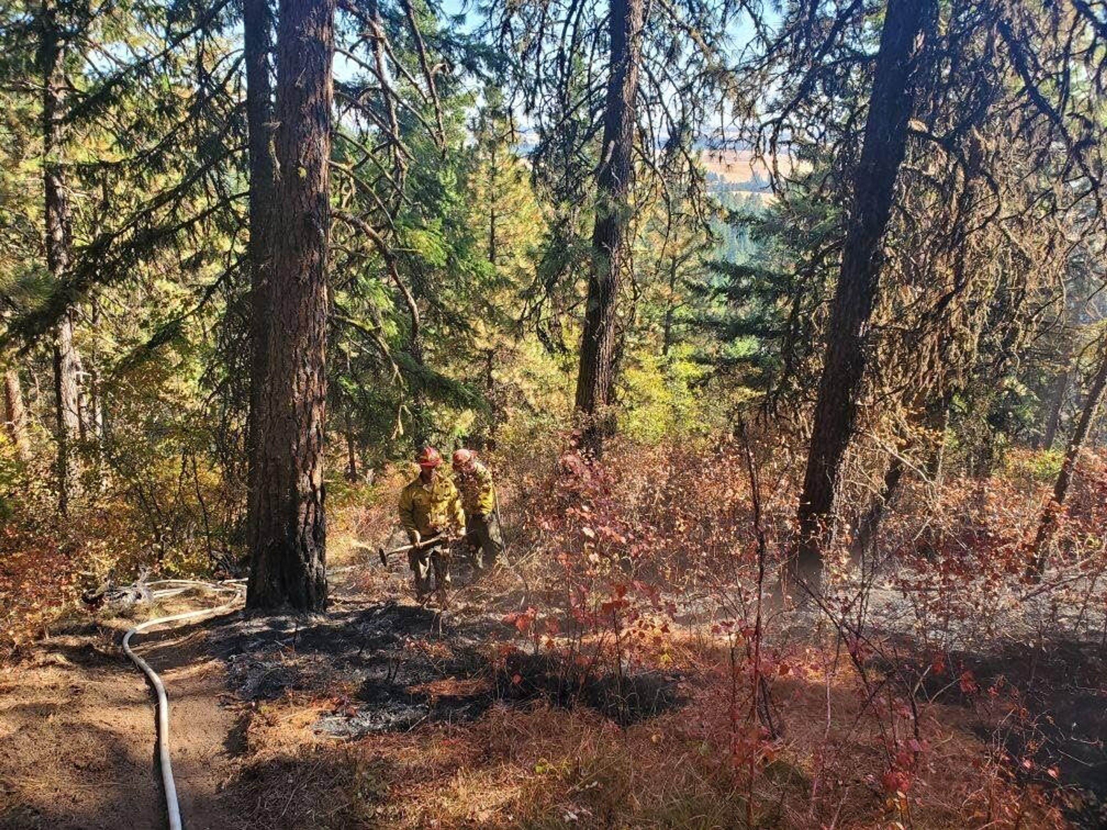 Nichol King/Idaho Department of LandsFire crews mop up an area of the Idler Fire near the base of Moscow Mountain Tuesday.