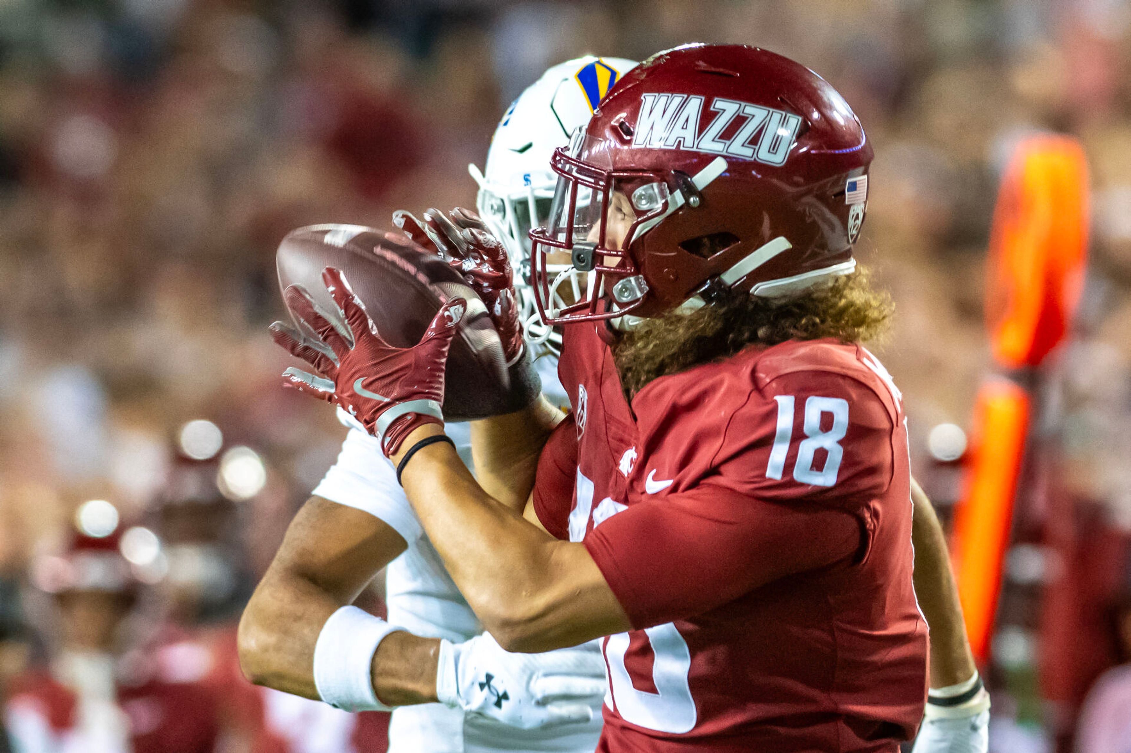 Washington State wide receiver Josh Meredith makes a catch and runs in for a touchdown against San Jose State during a quarter of a game Friday at Gesa Field in Pullman.