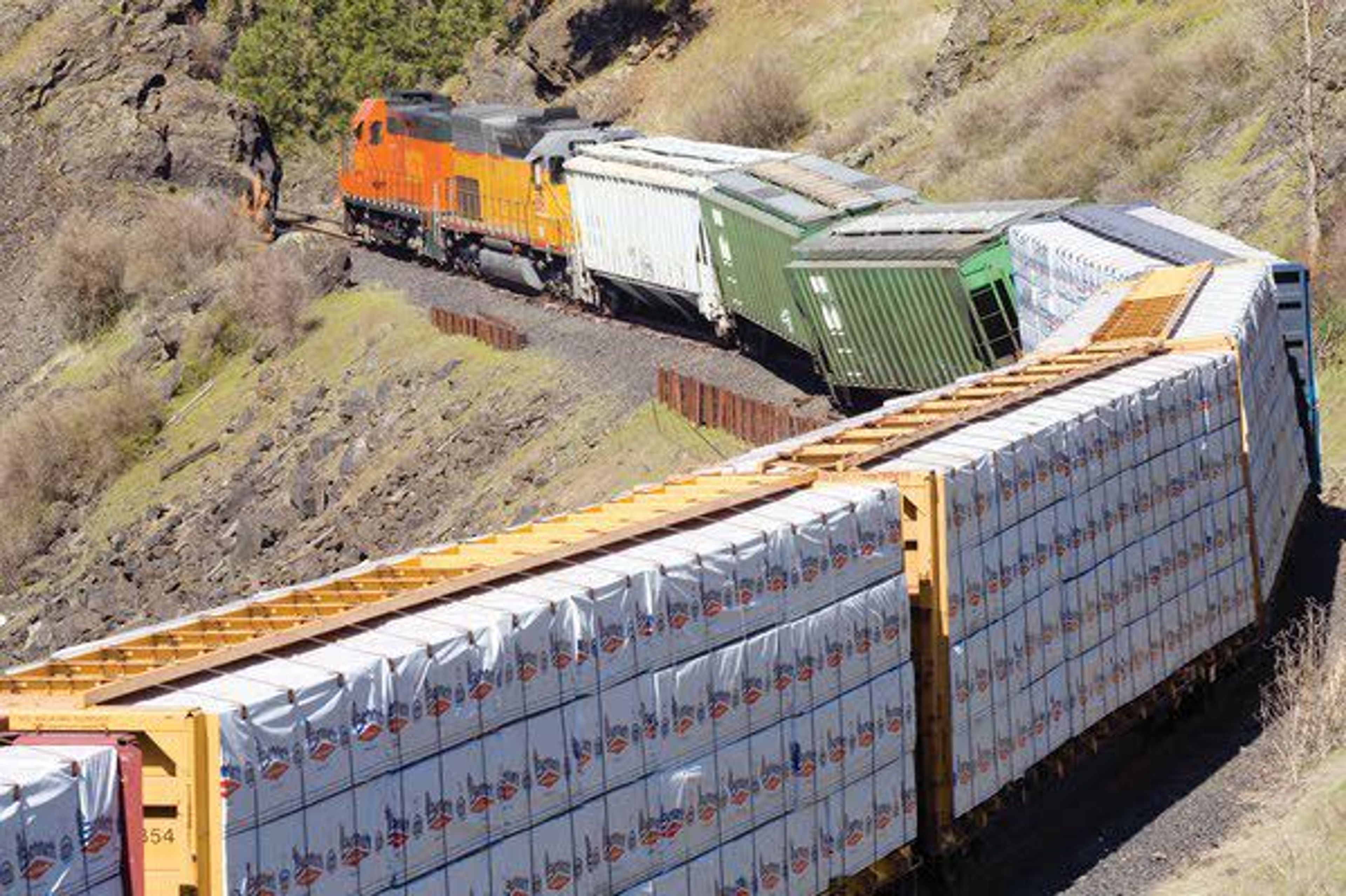 A train from the Washington and Idaho Railway is seen Tuesday after four cars derailed about two miles north of Palouse. The railroad is planning to use large excavators to lift the cars back onto the track.