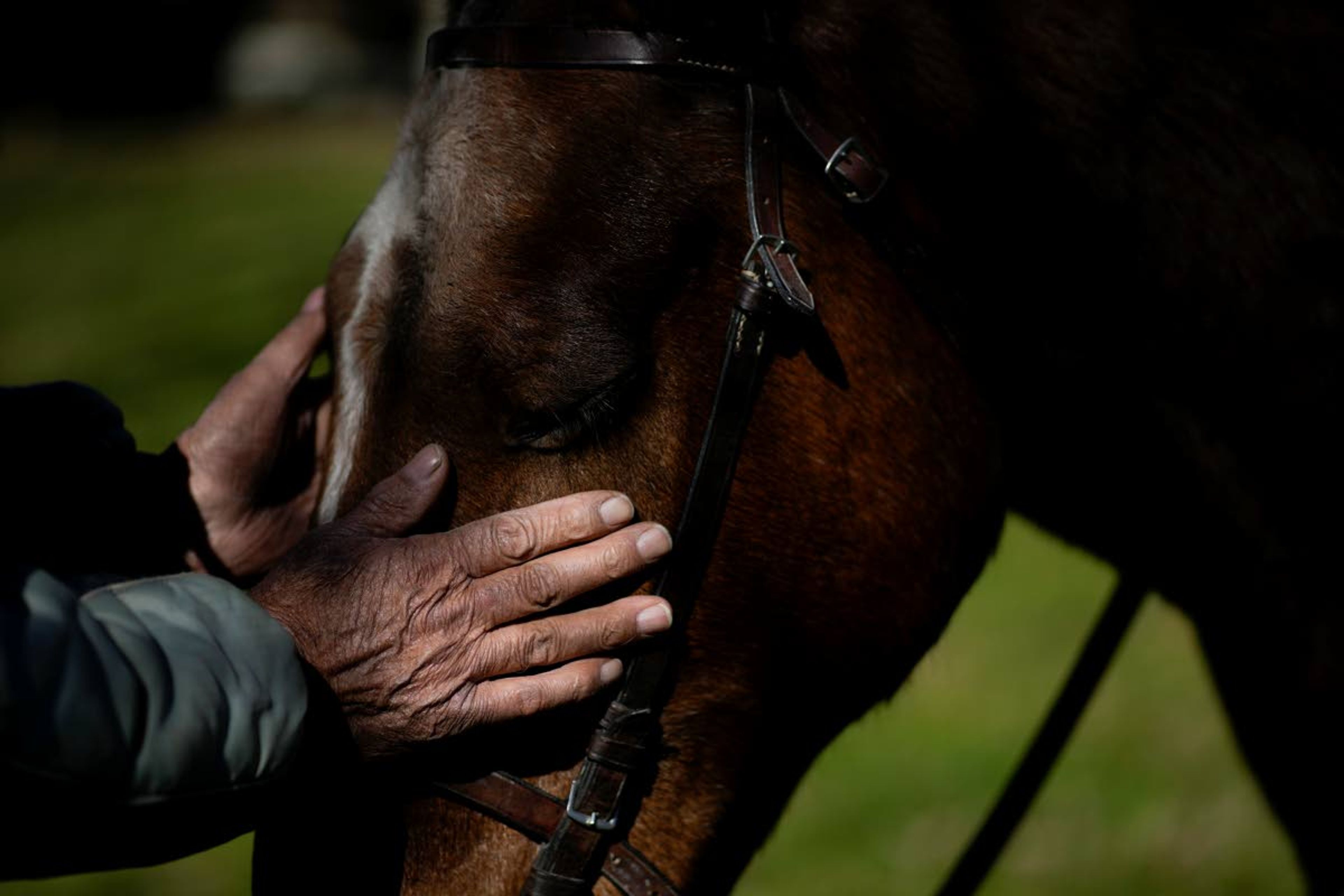 Alberto Ramon Castro pets horse Coco at the San Jose Home for seniors where he lives in Tandil, Argentina, Wednesday, Sept. 15, 2021. The 77-year-old had spent much of his time sitting in a chair. “It changed my life. I care for it, it seeks me out and when I approach, it neighs. As long as I am there, nothing is going to happen to it," he said. (AP Photo/Natacha Pisarenko)