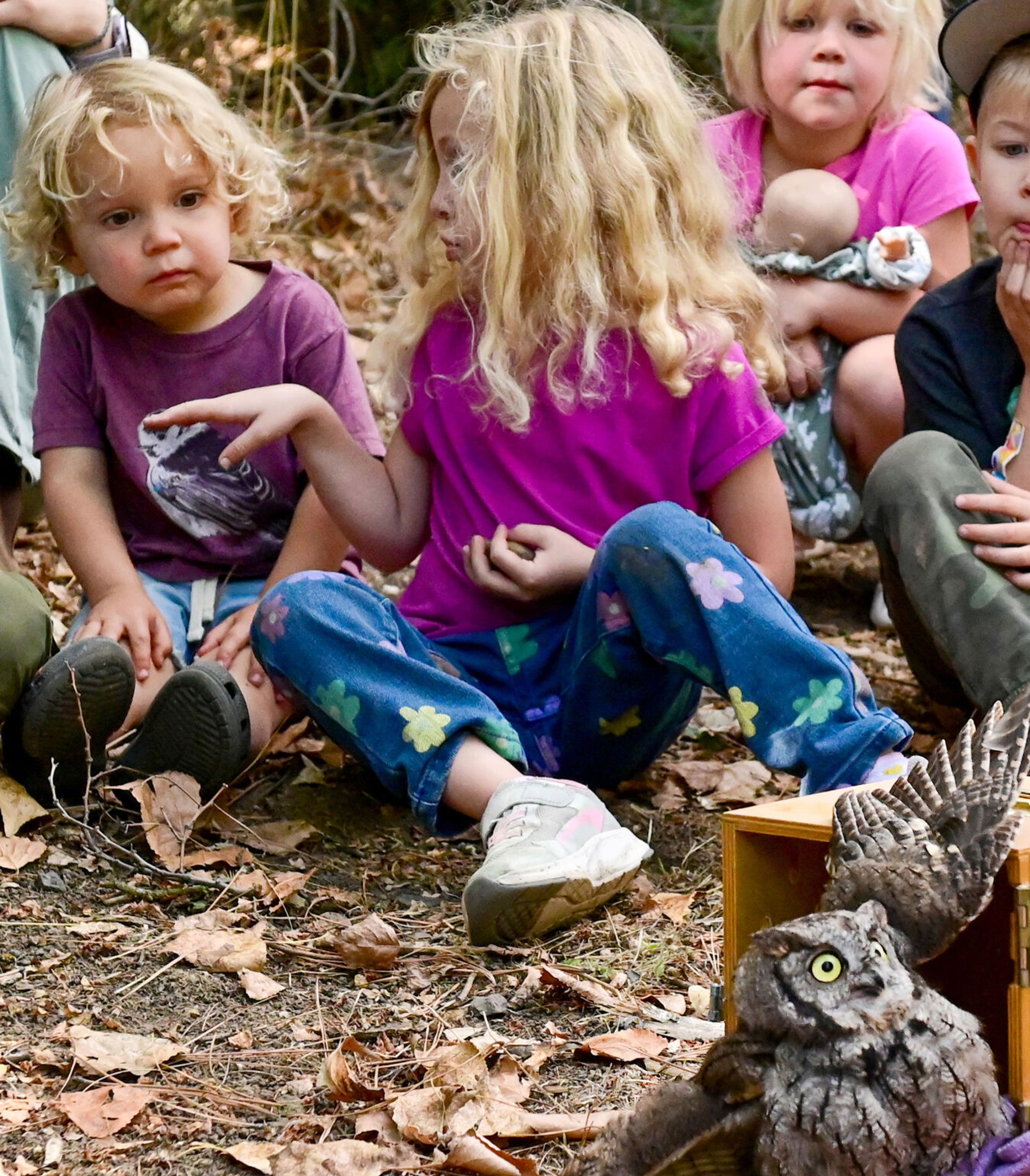 Students of Palouse Roots, Palouse-Clearwater Environmental Institute’s nature school, watch the release of a Western screech owl at the nature center Thursday in Moscow.