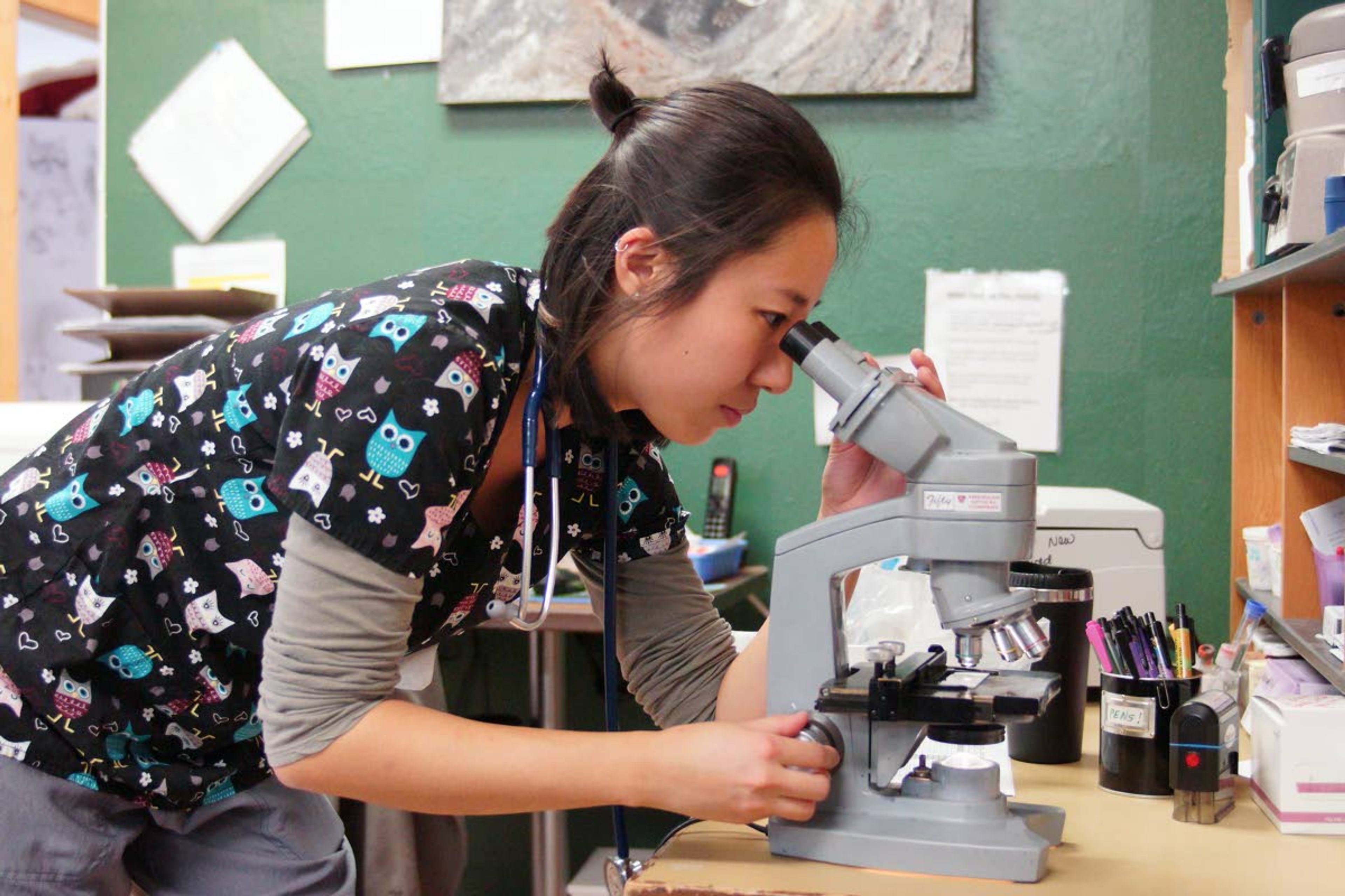 WSU veterinary student Alison Wang checks a slide for ear mites in a sample taken from a cat during a feral cat spay and neuter clinic Sunday.