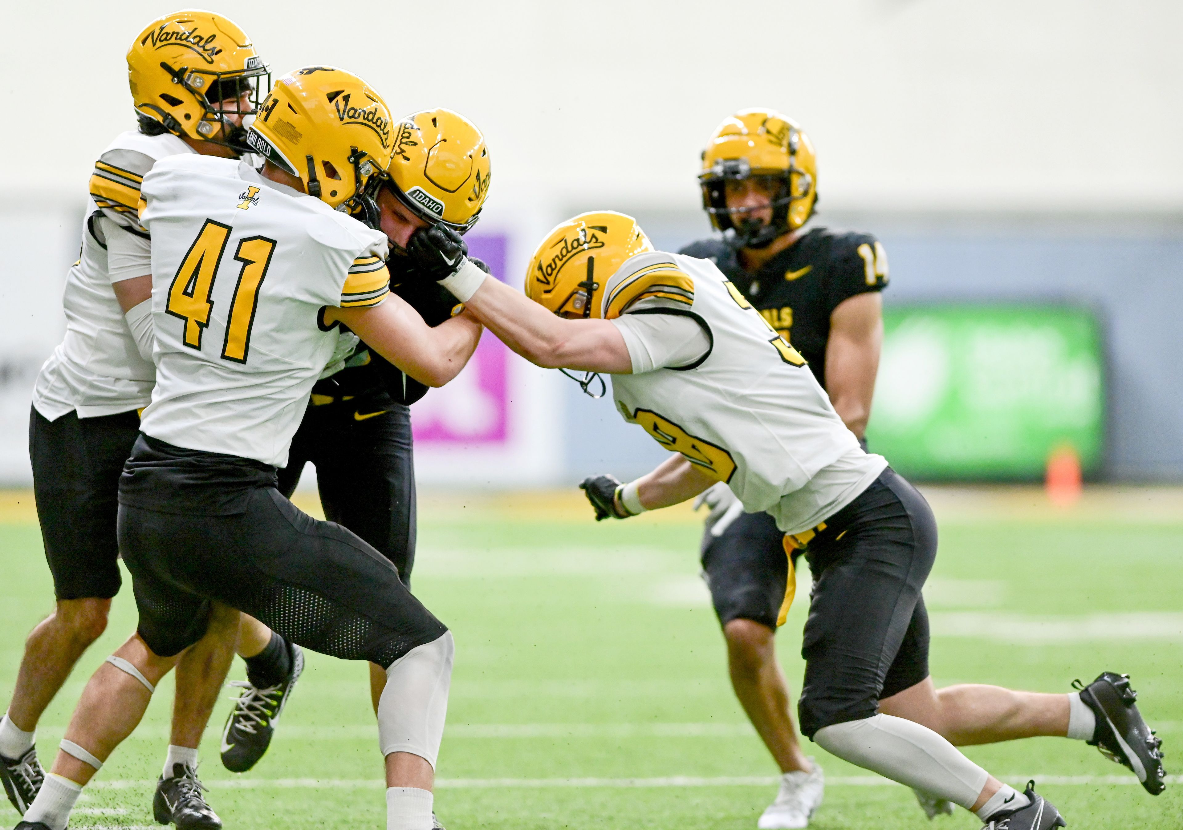 Vandals work together to tackle wide receiver Mark Hamper, center, during the annual spring game at the P1FCU Kibbie Dome in Moscow on Friday.