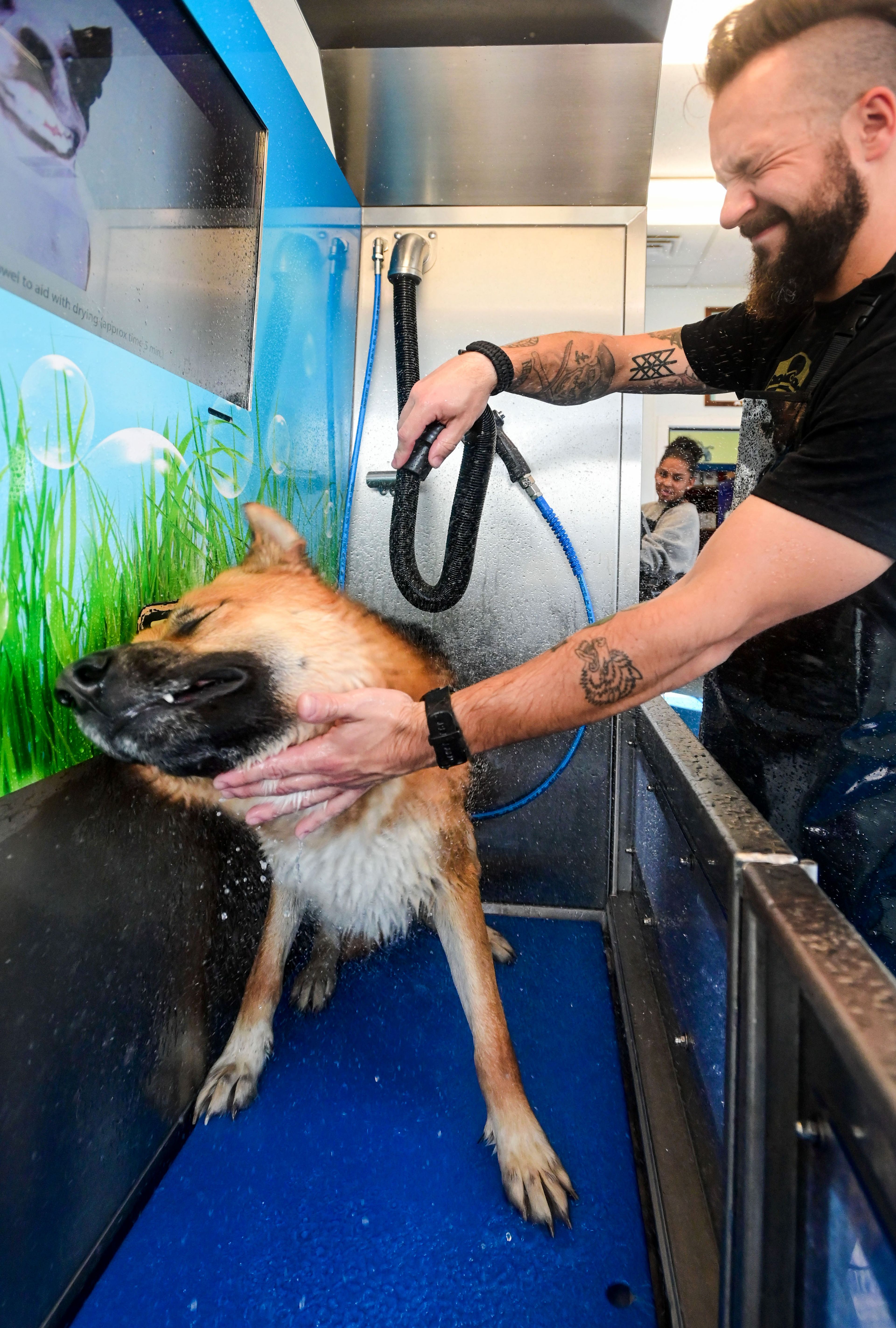 Chomper, 2, does a full-body shake, spraying water on Matt Savage at a self-wash station inside of Pets Are People Too along Troy Road in Moscow on Friday. It was Chomper's first time experiencing the cyber-wash machine.