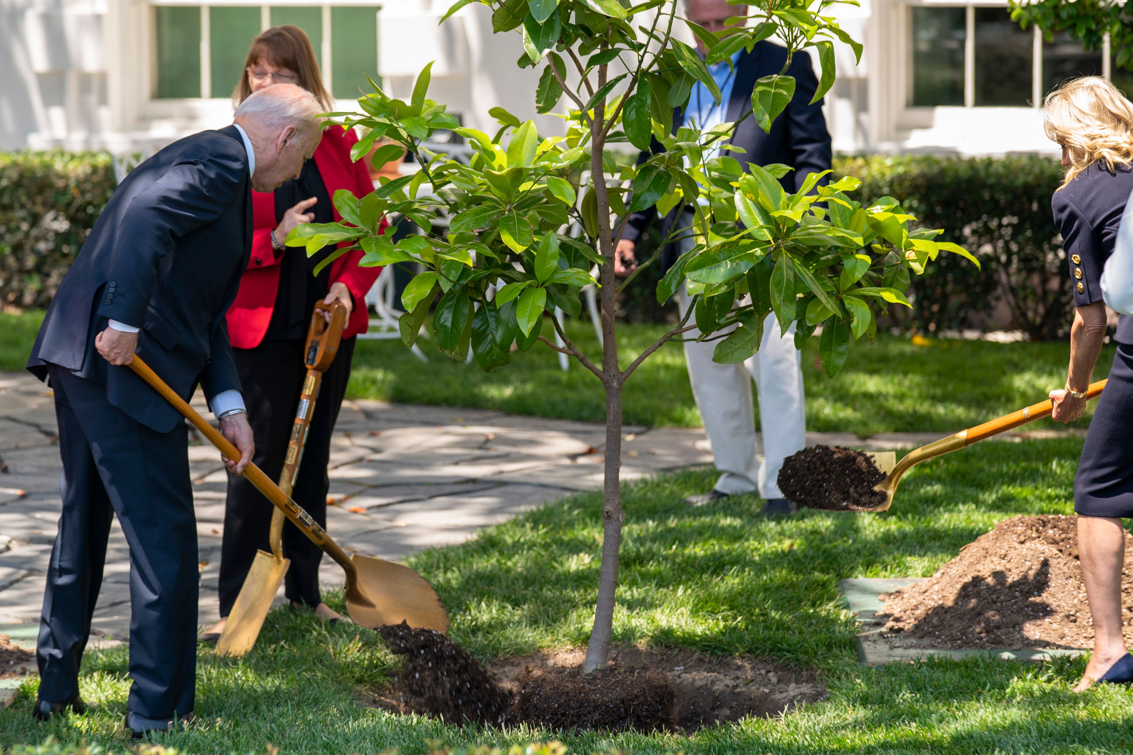 President Joe Biden, left, and first lady Jill Biden, right, joined by surviving families of service members, participates in a magnolia tree planting ceremony on the South Lawn of the White House in Washington, Monday, May 30, 2022 The new tree was grown from a seed from the original magnolia planted on the South Lawn by President Andrew Jackson. (AP Photo/Andrew Harnik)