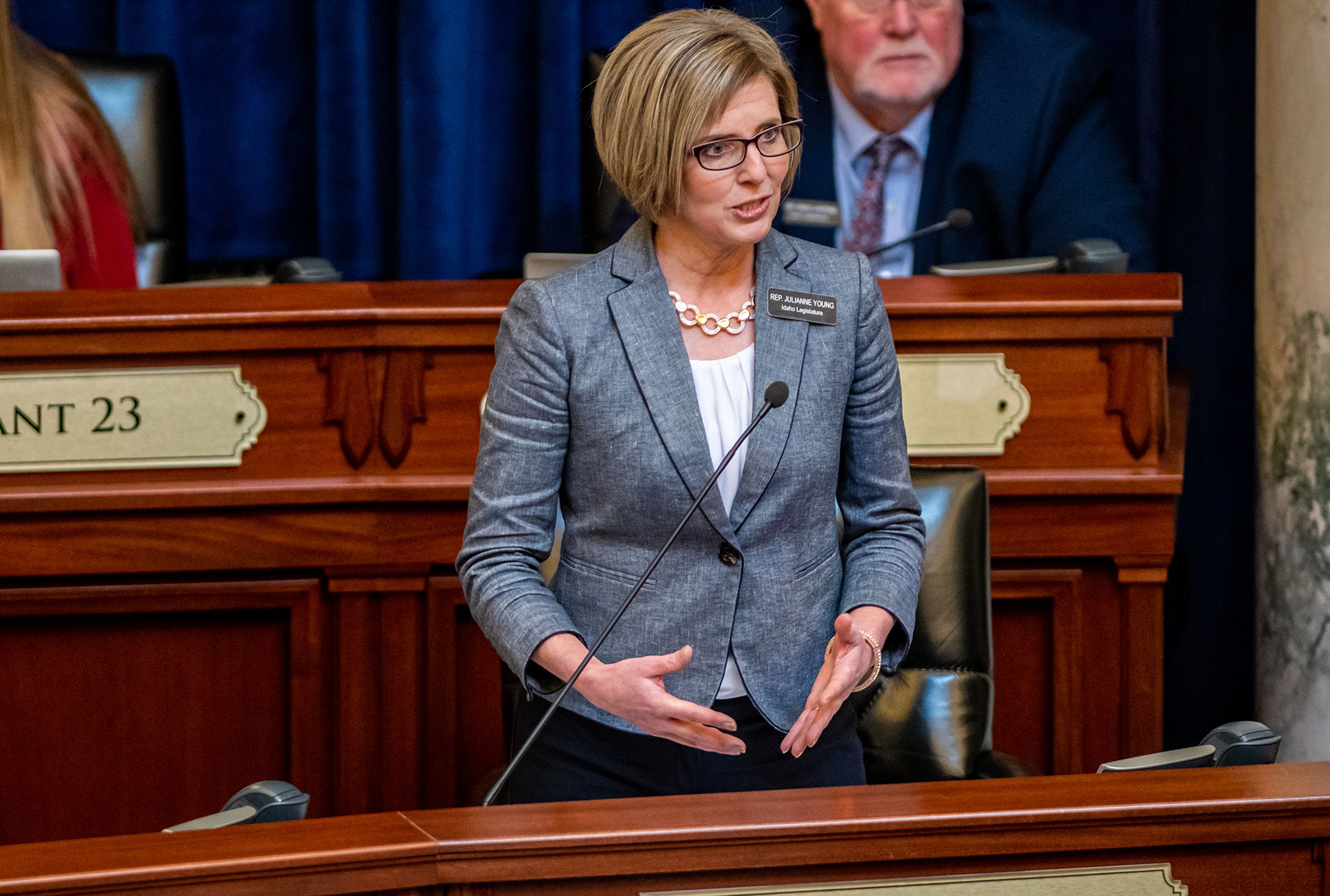 Representative Julianne Young addresses the Idaho House of Representatives on Tuesday during a legislative session regarding a ban on transgender care for minors at the Capitol Building in Boise.