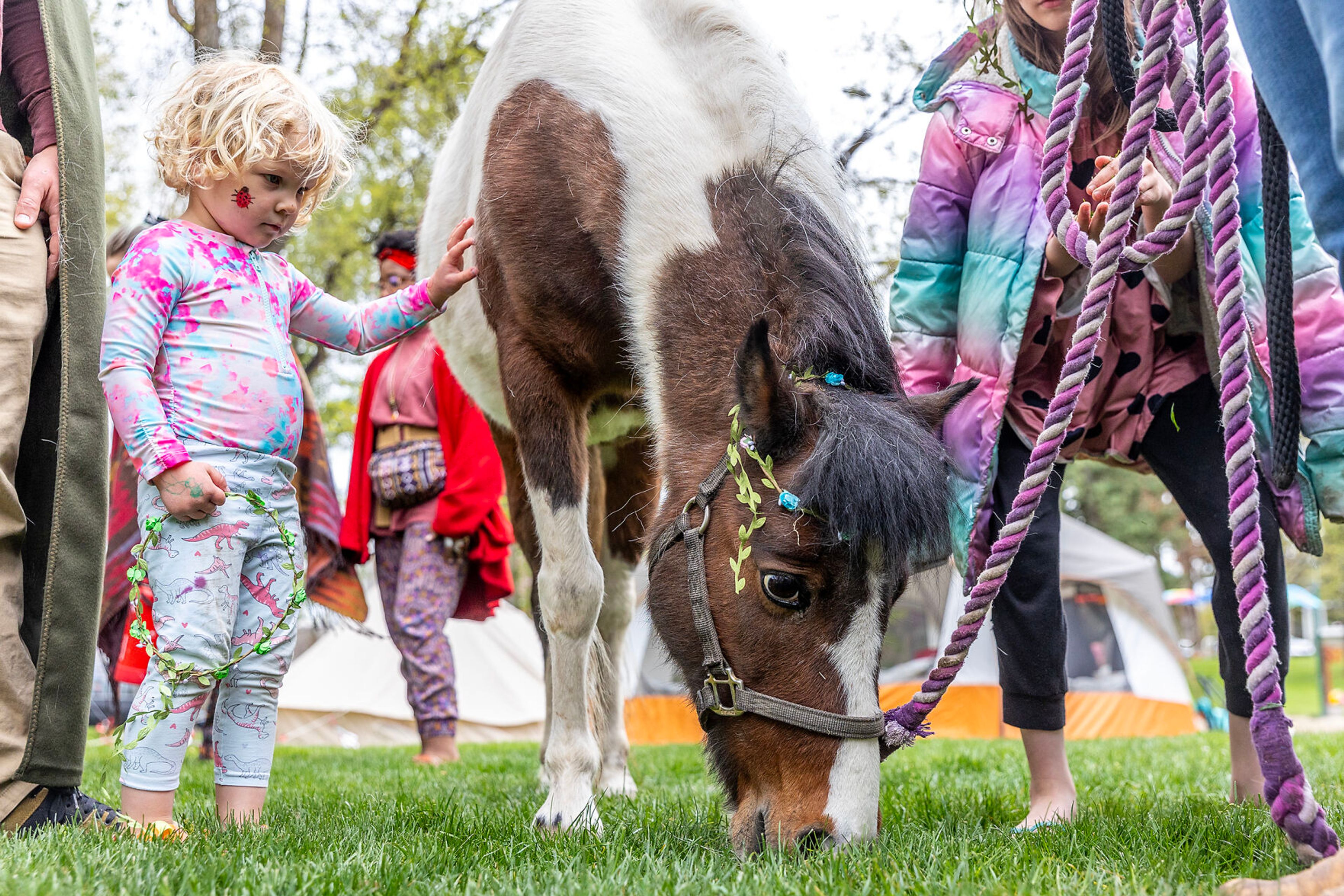 Tegan Tirrell, 2, of Moscow, gives Chickadee some pets as he feasts upon grass at the Moscow Renaissance Fair Saturday at East City Park in Moscow.