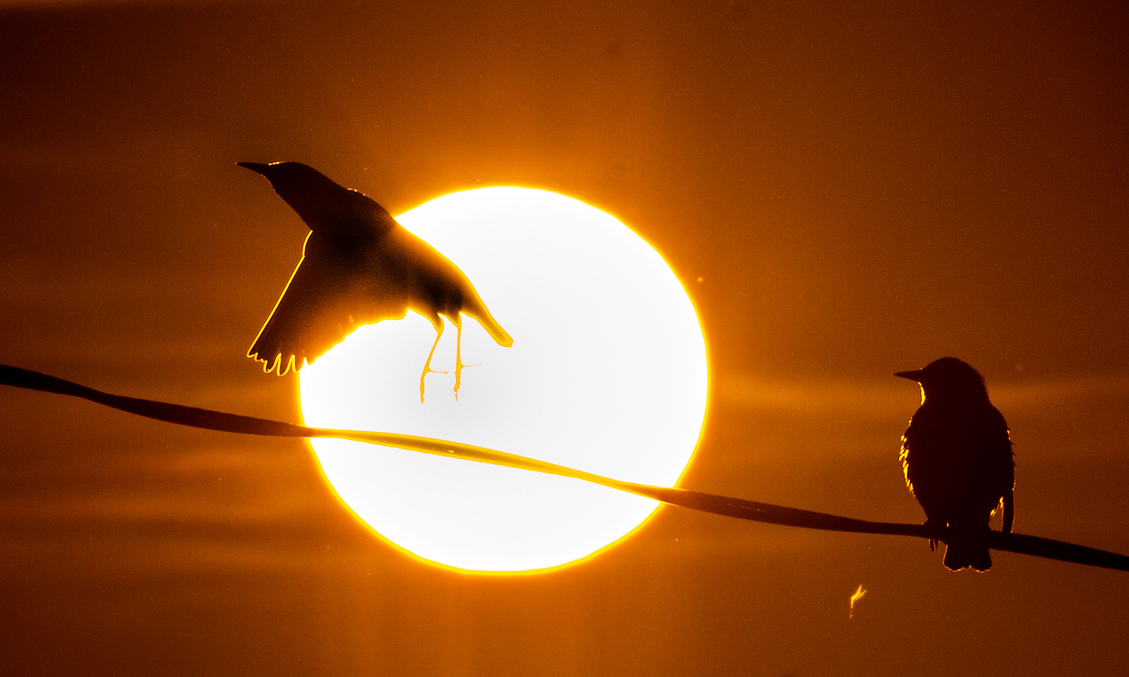 Big Picture: Don’t fly too close to the sun