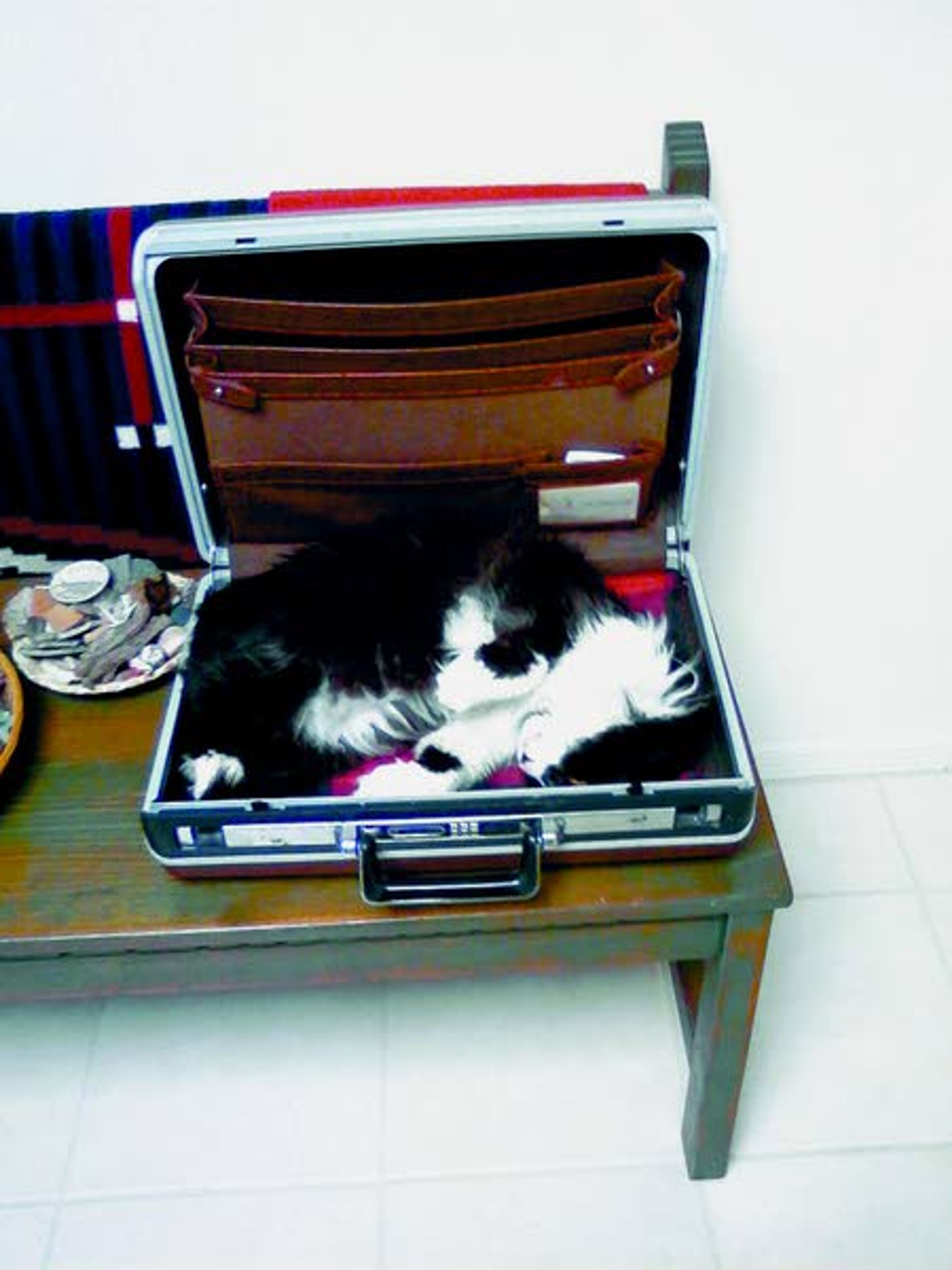 READER PHOTO OF THE DAY March 22