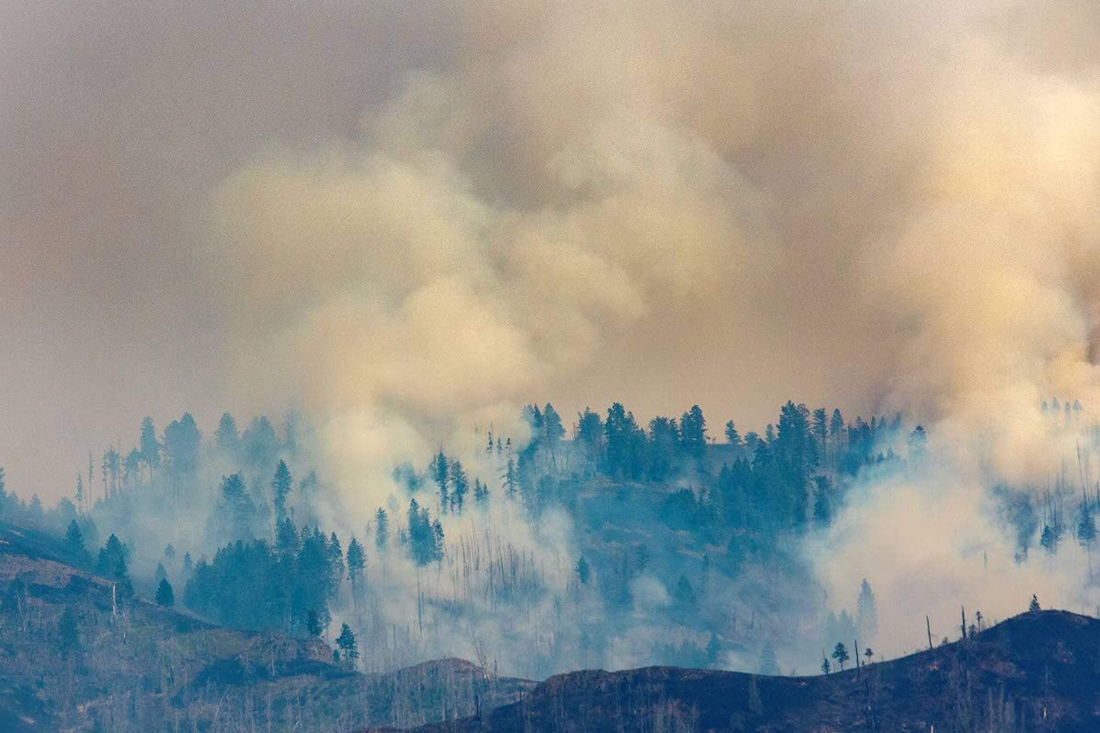 Smoke billows up out of the trees in the far hills east of the Snake River on Saturday.