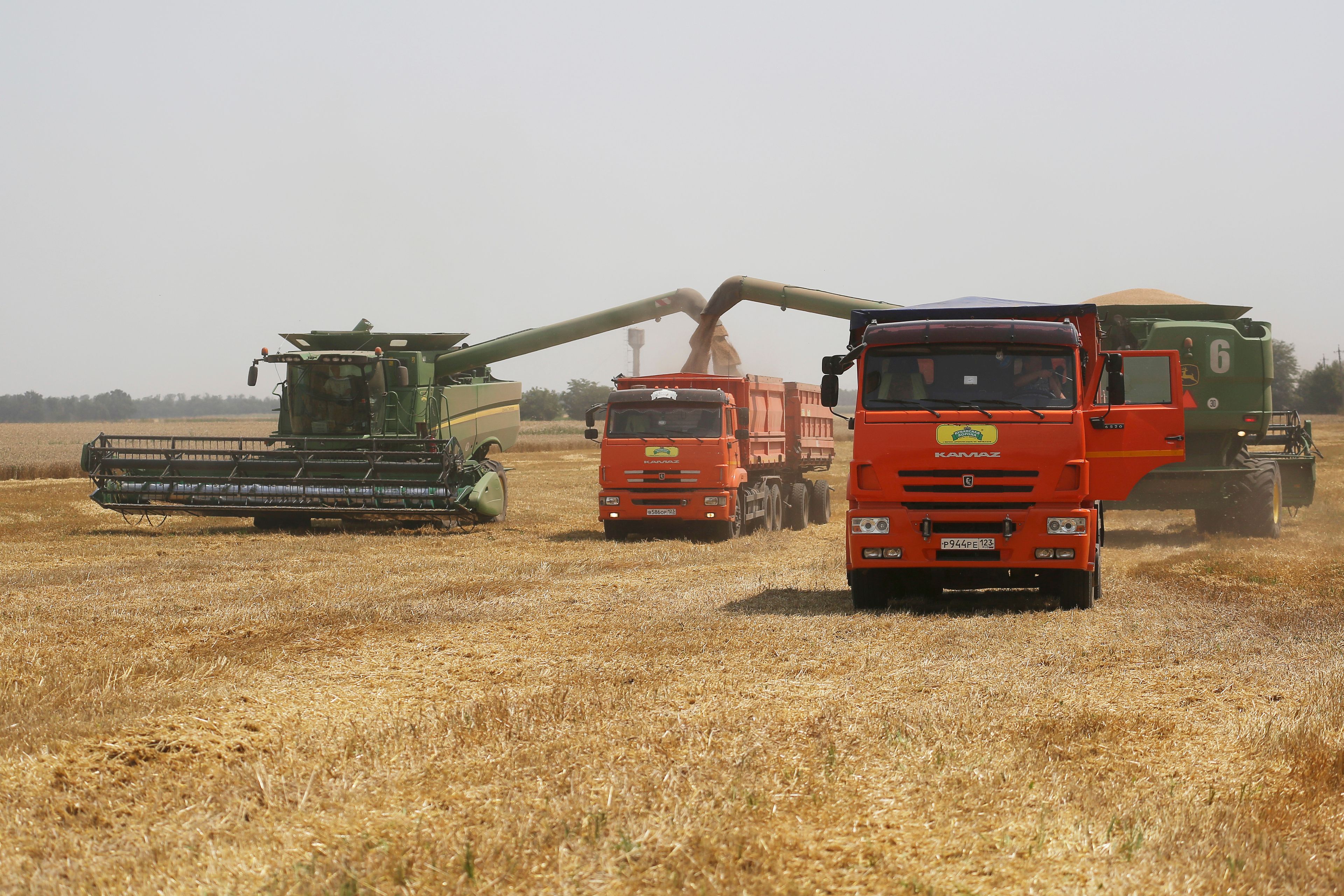 FILE - Farmers harvest with their combines in a wheat field near the village Tbilisskaya, Russia, July 21, 2021. Ukraine and Russia account for a third of global wheat and barley export. (AP Photo/Vitaly Timkiv, File)