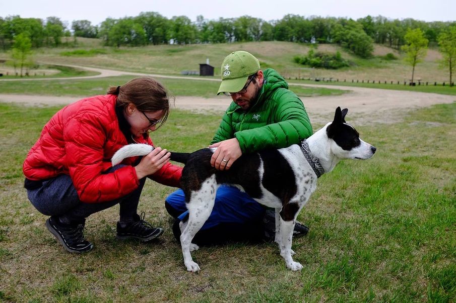 Tooth & Nail Here’s the best way to remove ticks after they latch on