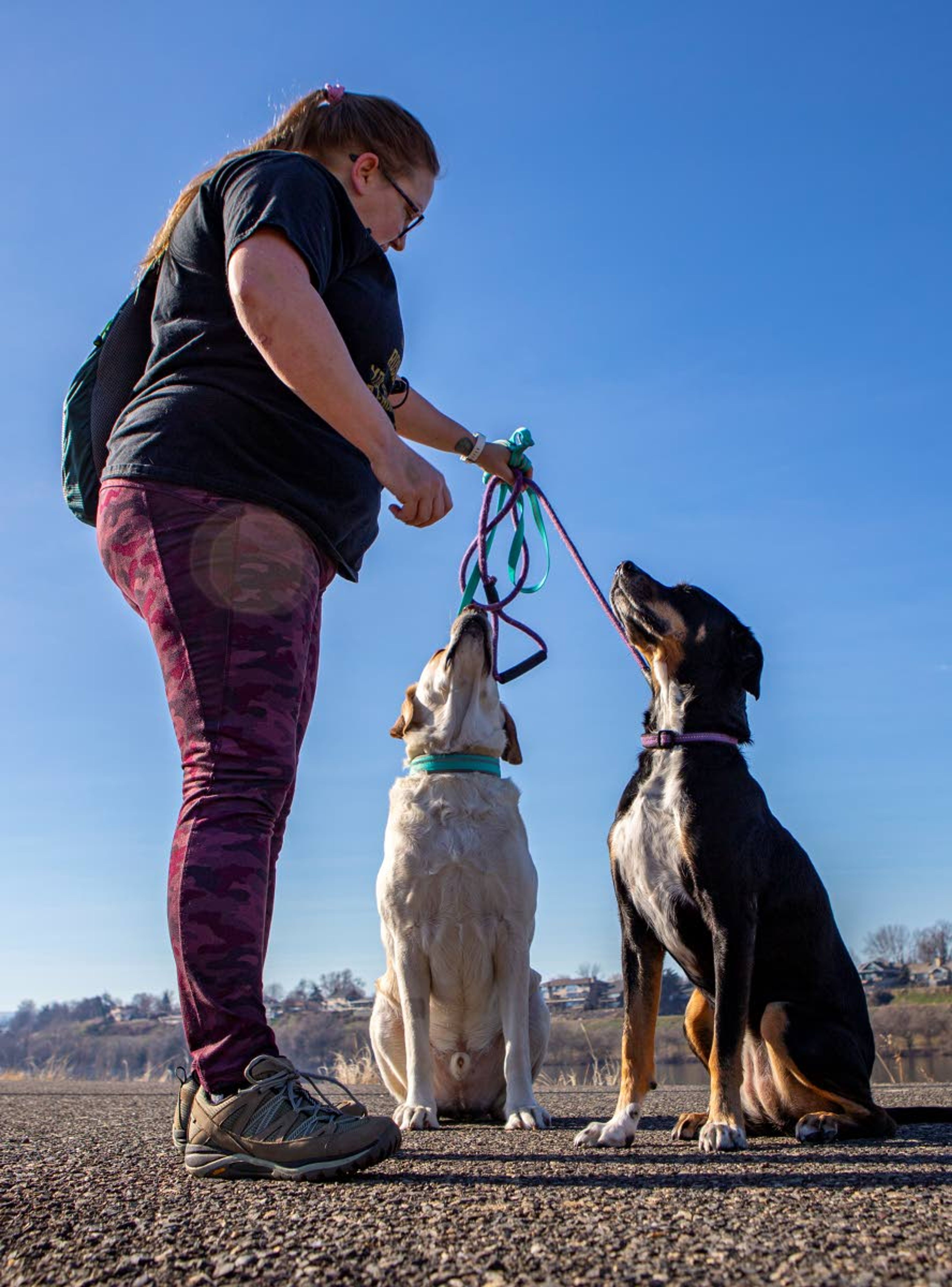 Rebecca Brackett, of Lewiston, takes a break during a walk along the Lewiston Levee Parkway Trial to give her dogs, Cayde and Sweet Tea, a treat on Wednesday.