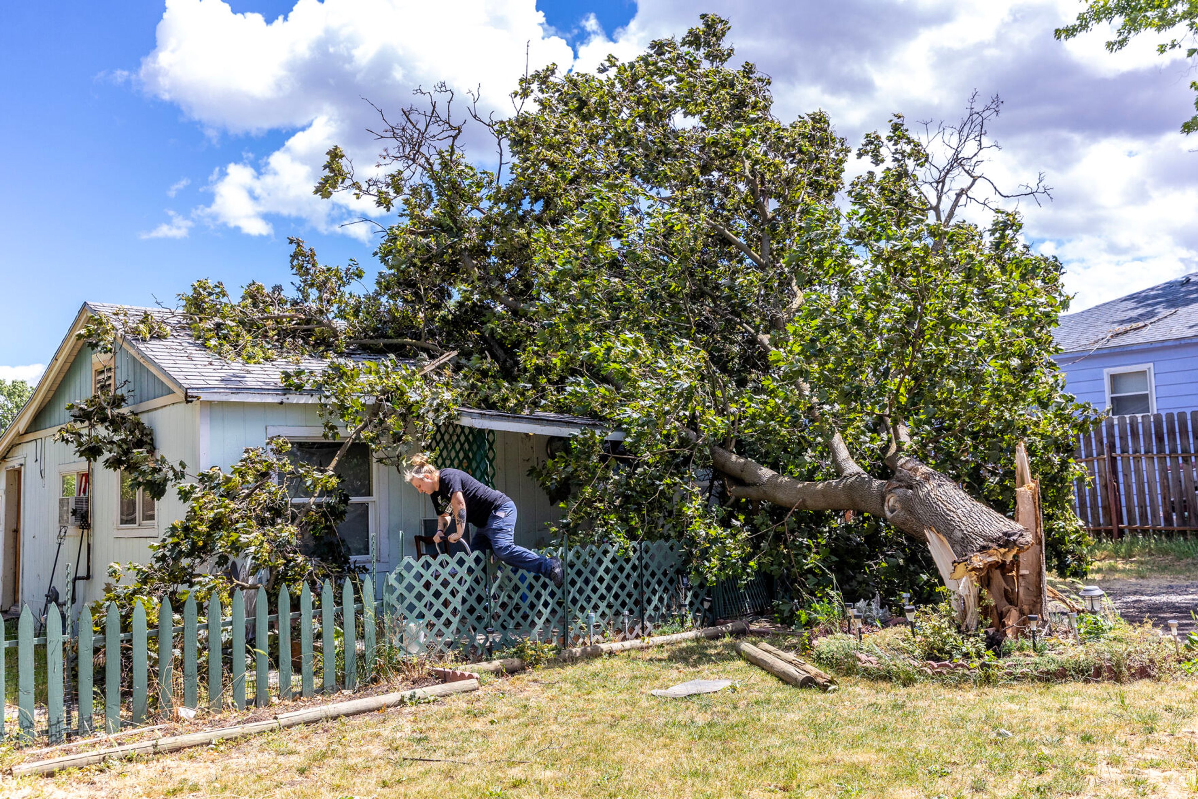 A tree blown down by the wind lays across a house on Billups Street Monday in Clarkston. The tree was spreading rotting according to the daughter of the homes resident. No one was injured by the toppled tree.