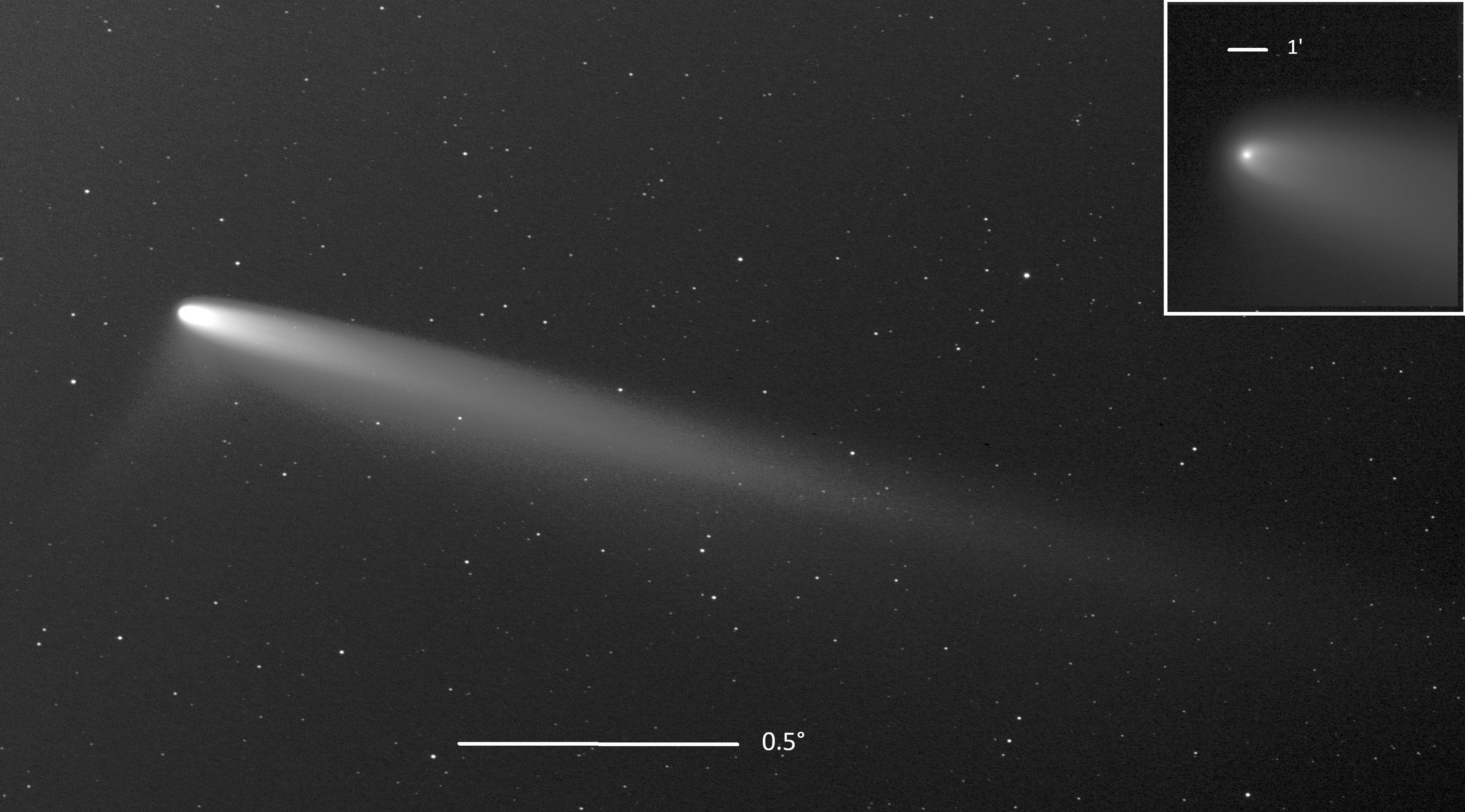 Rare comet brightens night skies in October