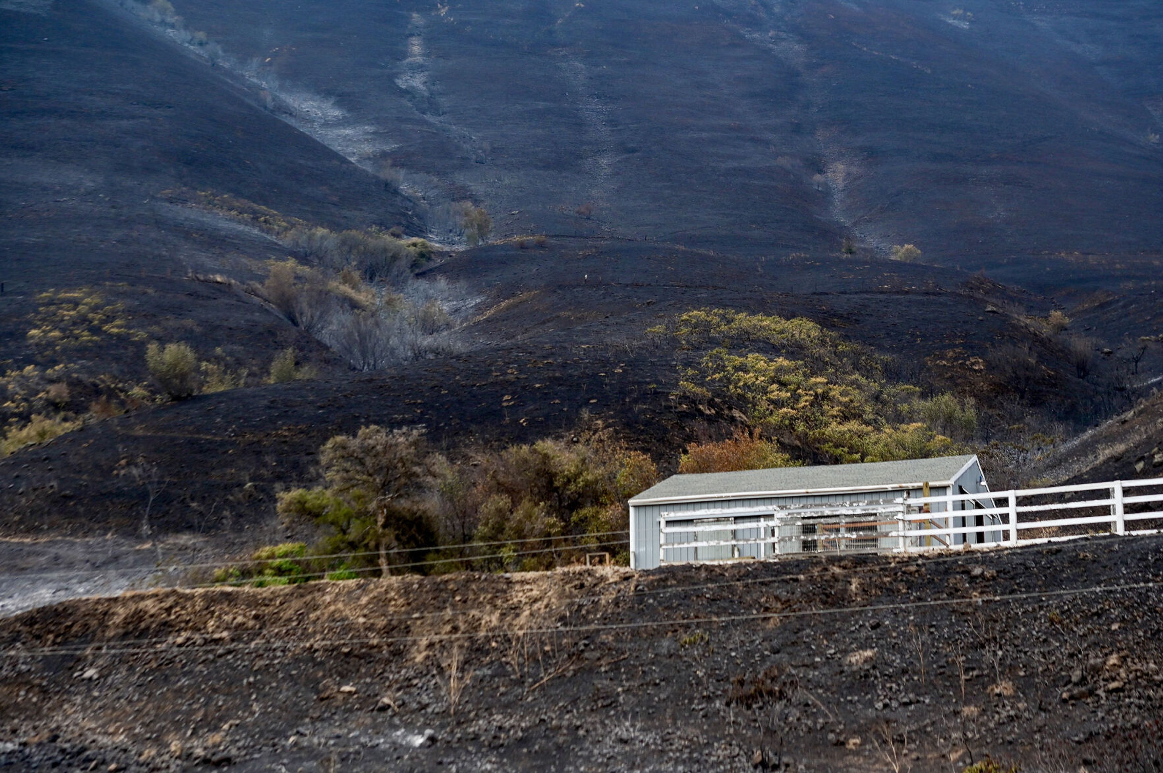 A structure remains standing against a charred backdrop on Monday along Idaho Highway 3 after the Gwen Fire.