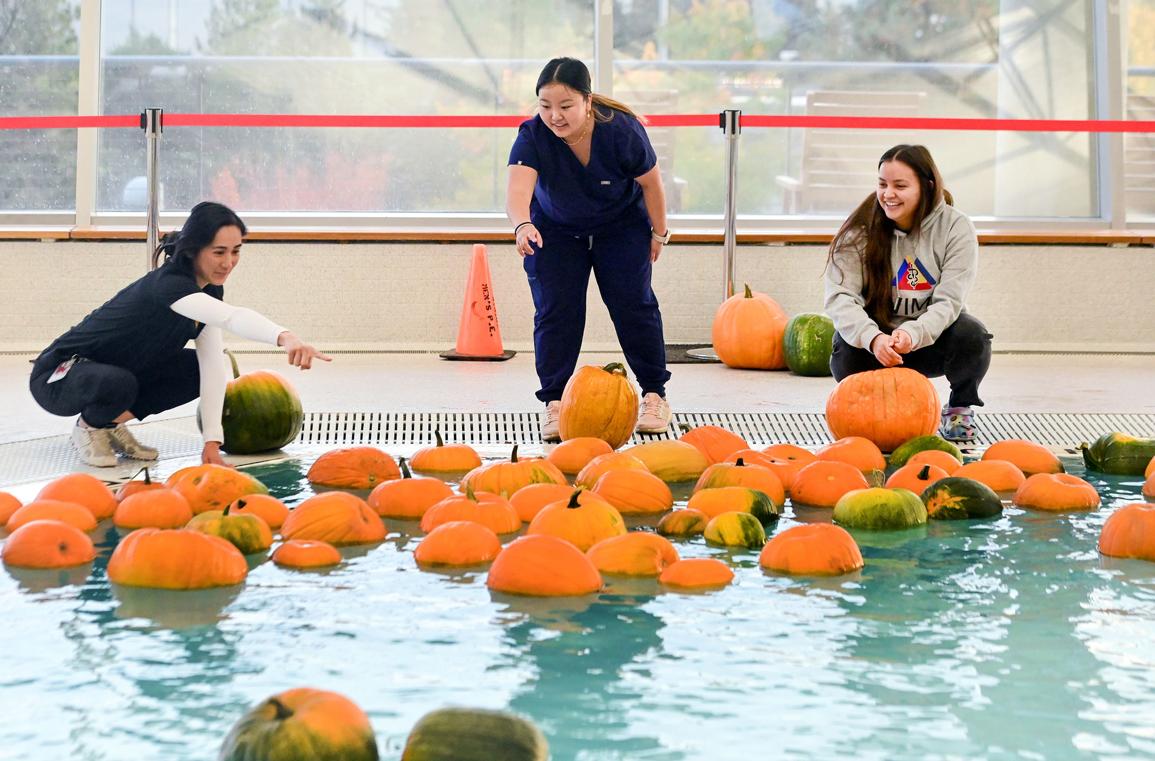 First year Washington State University veterinary medicine students Maki Small, left, Alyssa Chun, center, and LorRinda Richardson spot pumpkins to compare against the ones they pulled from the AquaPatch at the WSU Student Recreation Center Wednesday in Pullman.,