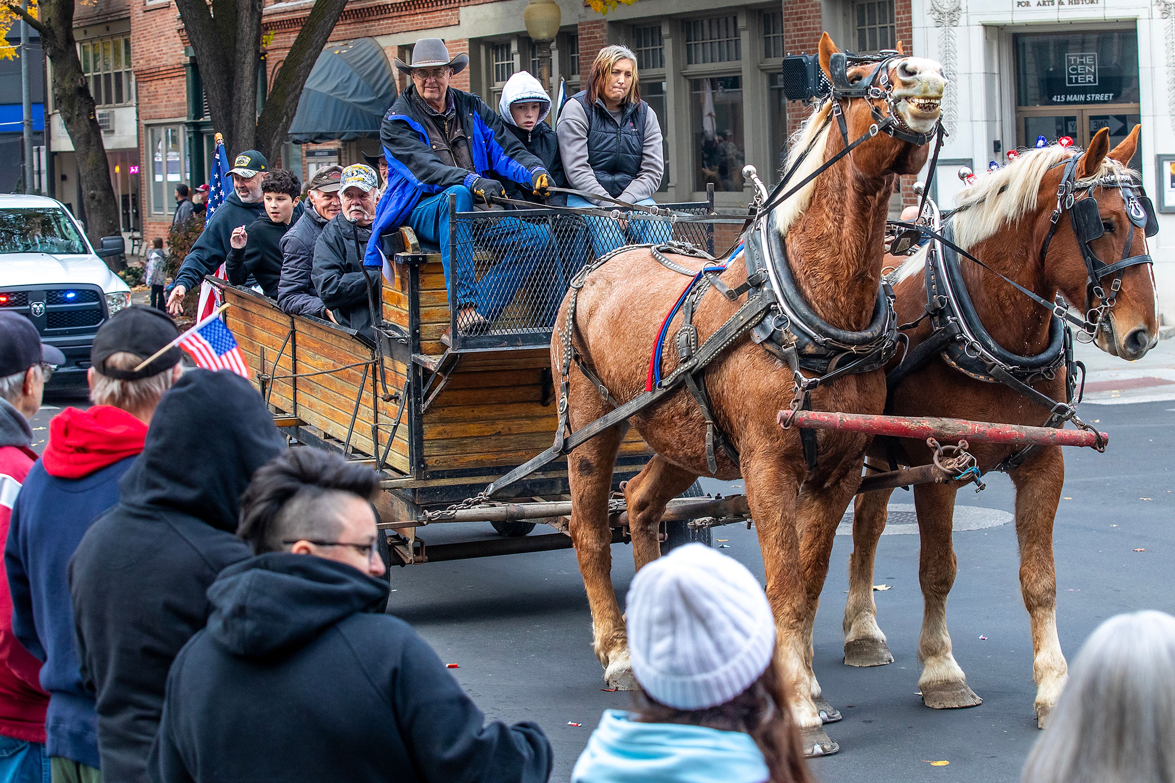 A horse puts on his best smile Saturday at the Veteran’s Day Parade on Main Street in Lewiston.