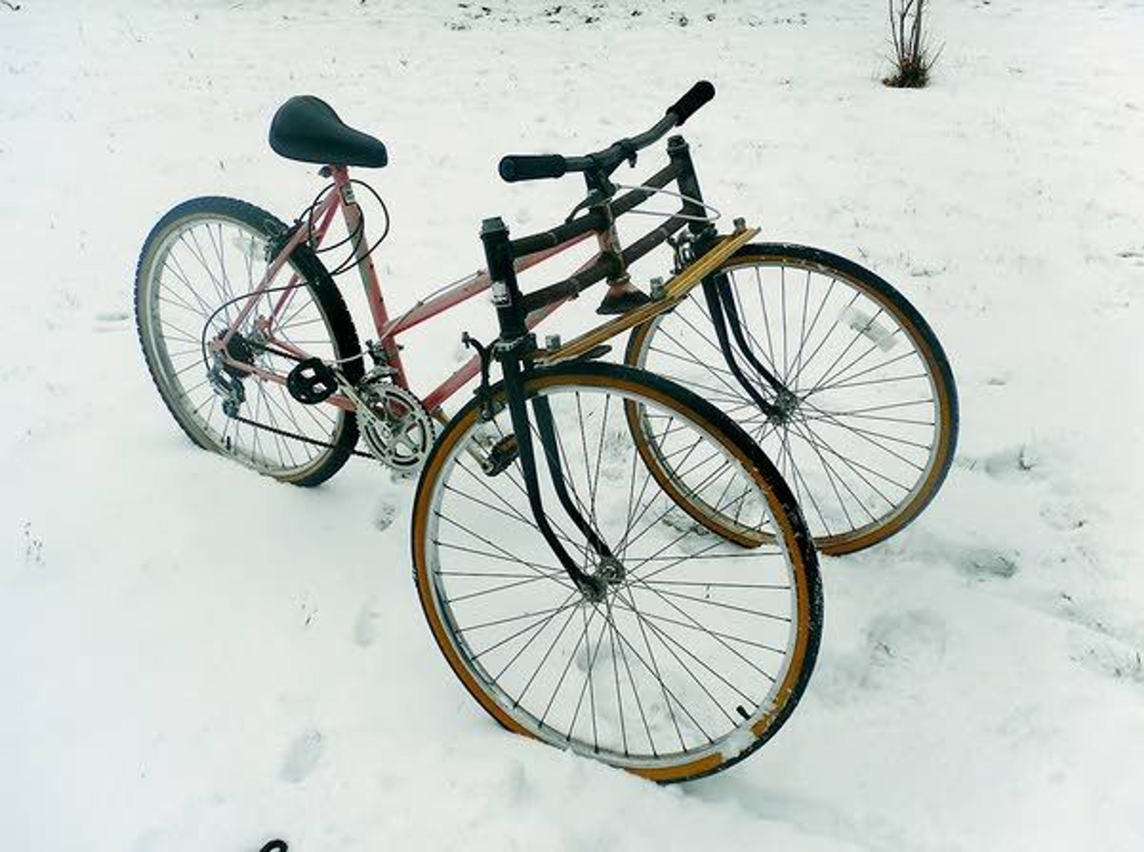 Reader Photo of the Day