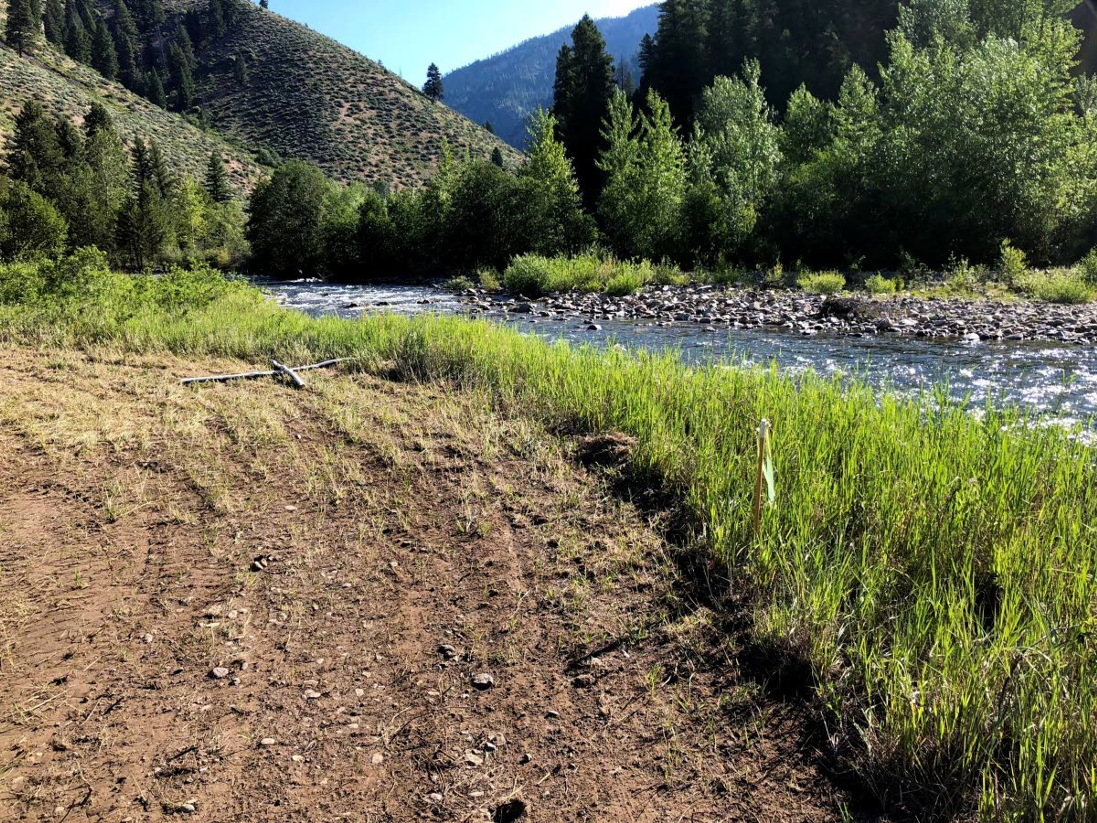 Courtesy photoA new airstrip on Idaho Fish and Game property along Marble Creek at the Mitchell Ranch has angered some wilderness advocates who say it will increase air congestion and degrade fish habitat.