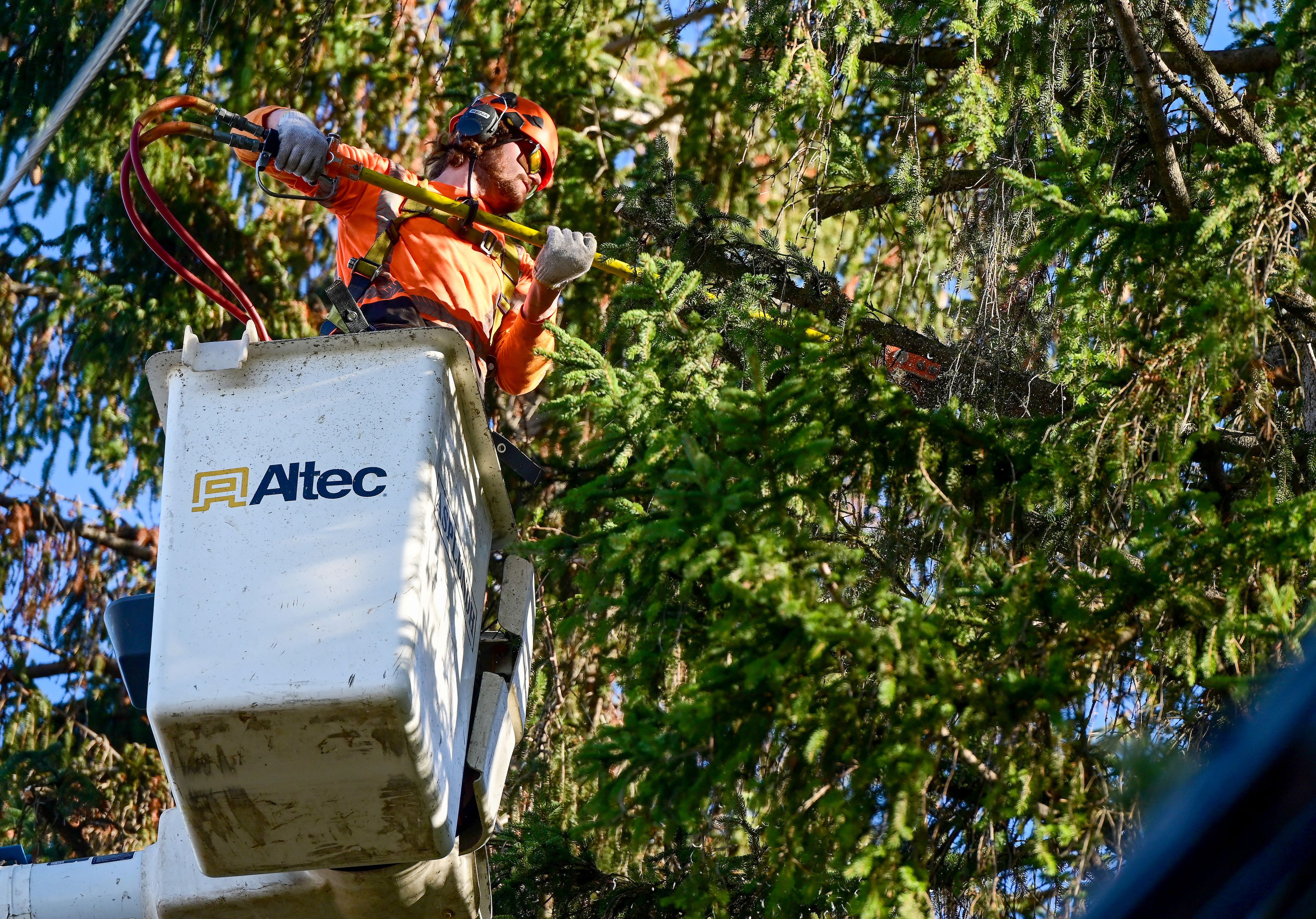 Tree limbs are cut back from power lines along Northwest Davis Way near Cory Lane in Pullman on Monday.