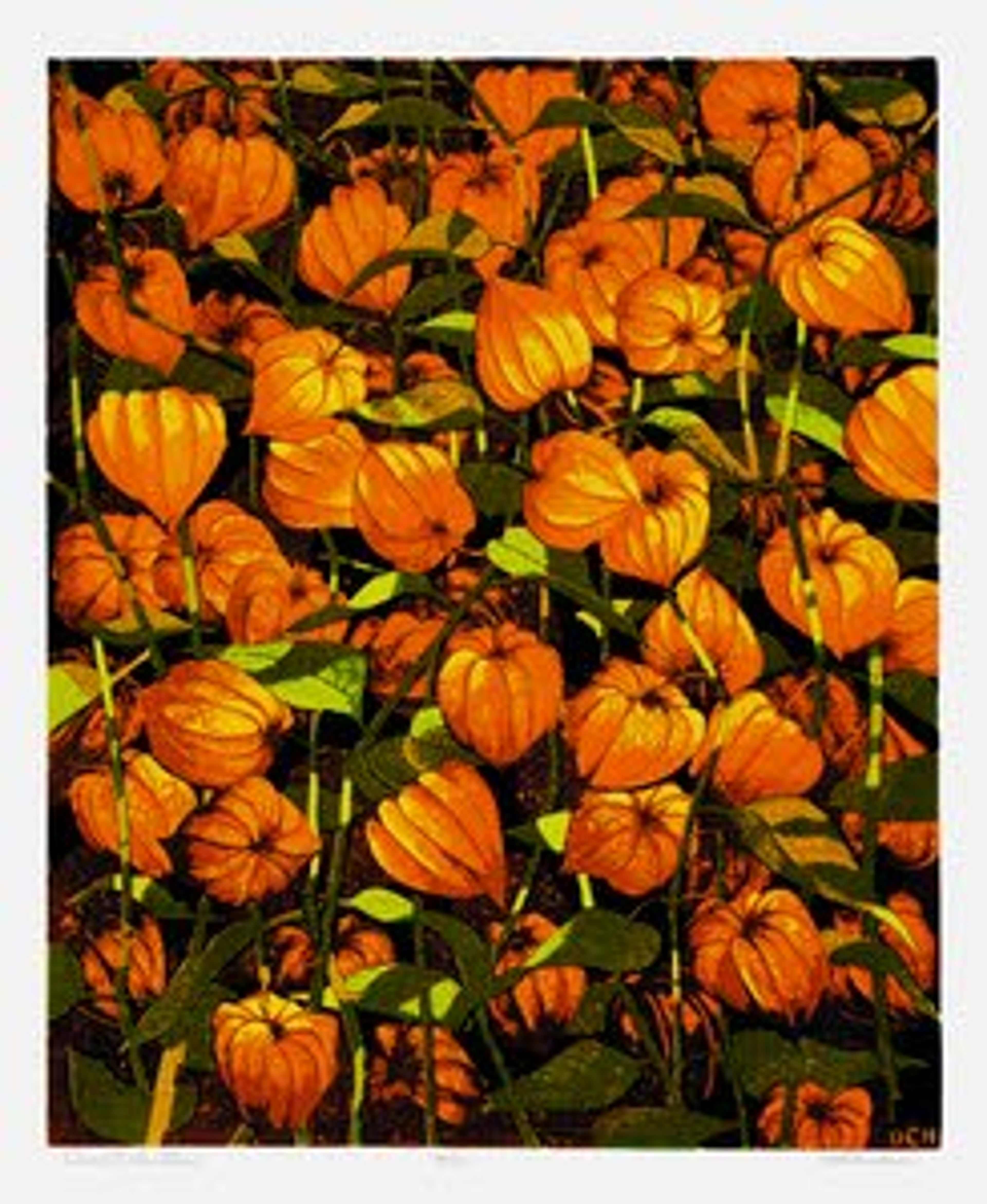 In the details Botanical illustrations appeal to plant lovers, art lo...