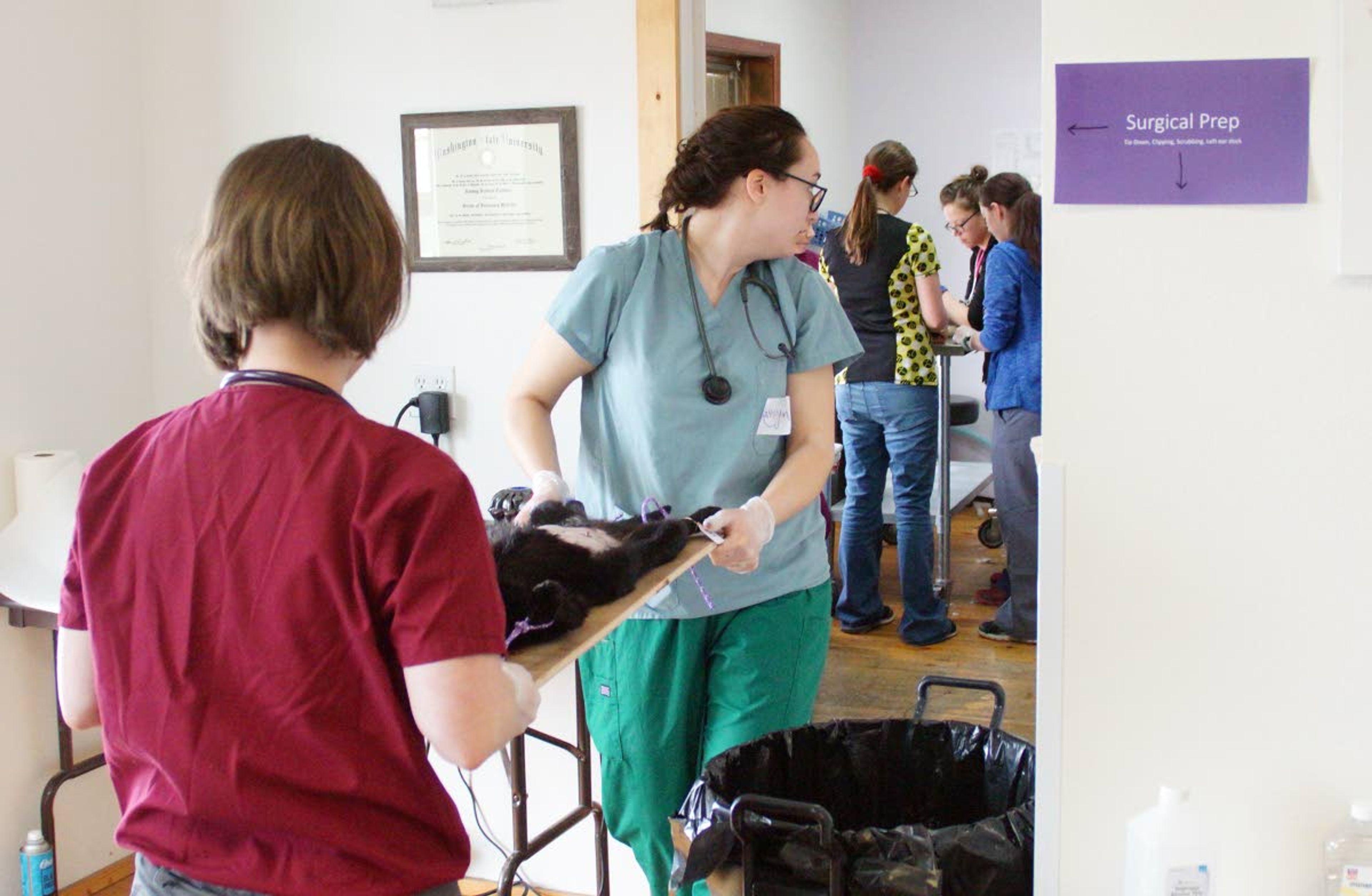 Anna Aguire, left, and Kathryn Sutherland carry a cat into surgery to be spayed during a feral cat spay and neuter clinic Sunday afternoon in Moscow.