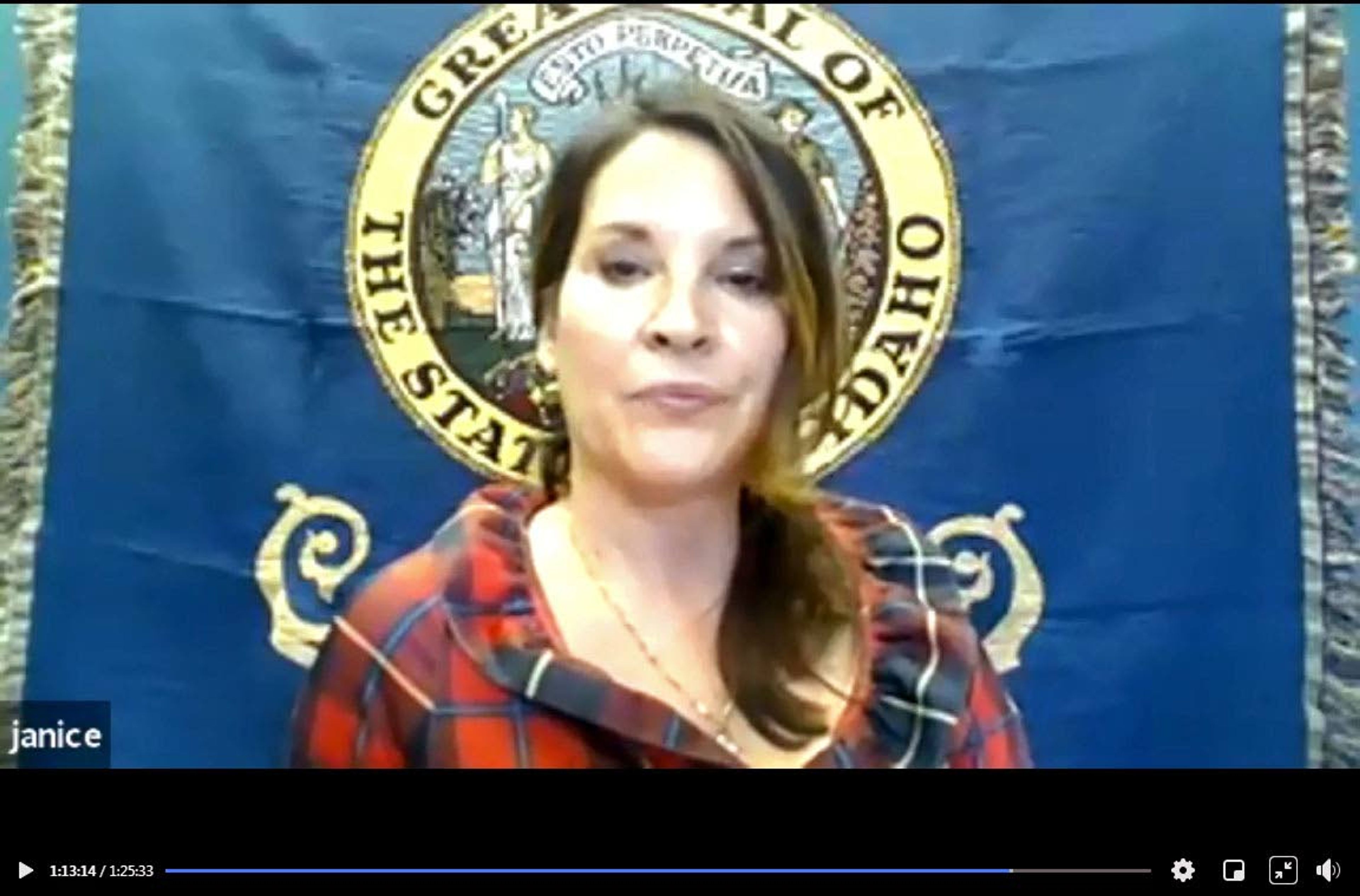 Idaho Lt. Gov. Janice McGeachin talks during the Idaho Strong online news conference Tuesday.