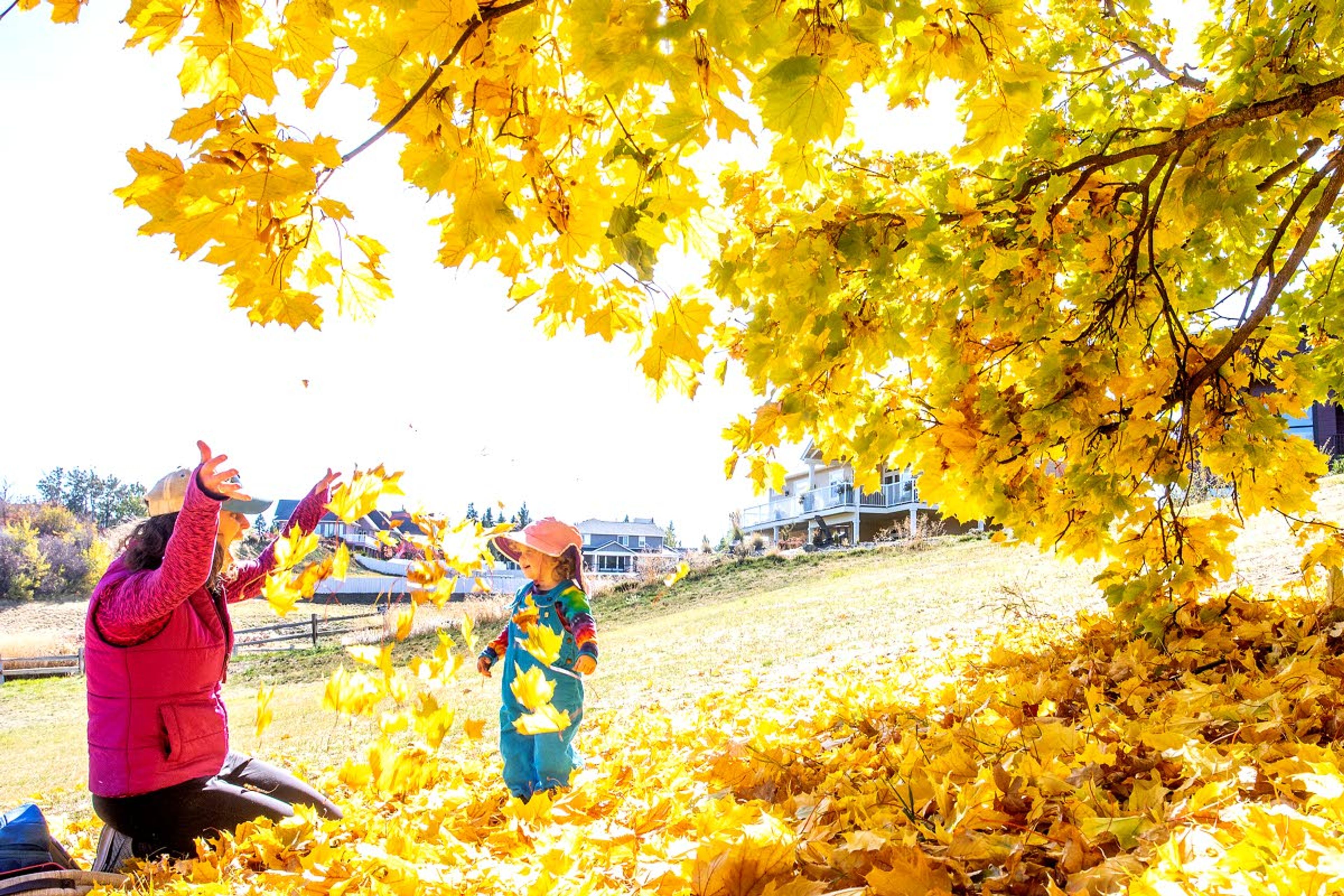 Judy May Curtis, 17 months, smiles at her mother, Anne Marie Curtis, of Pullman, as she throws some yellow fall leaves into the air Tuesday at Sunnyside Park in Pullman.