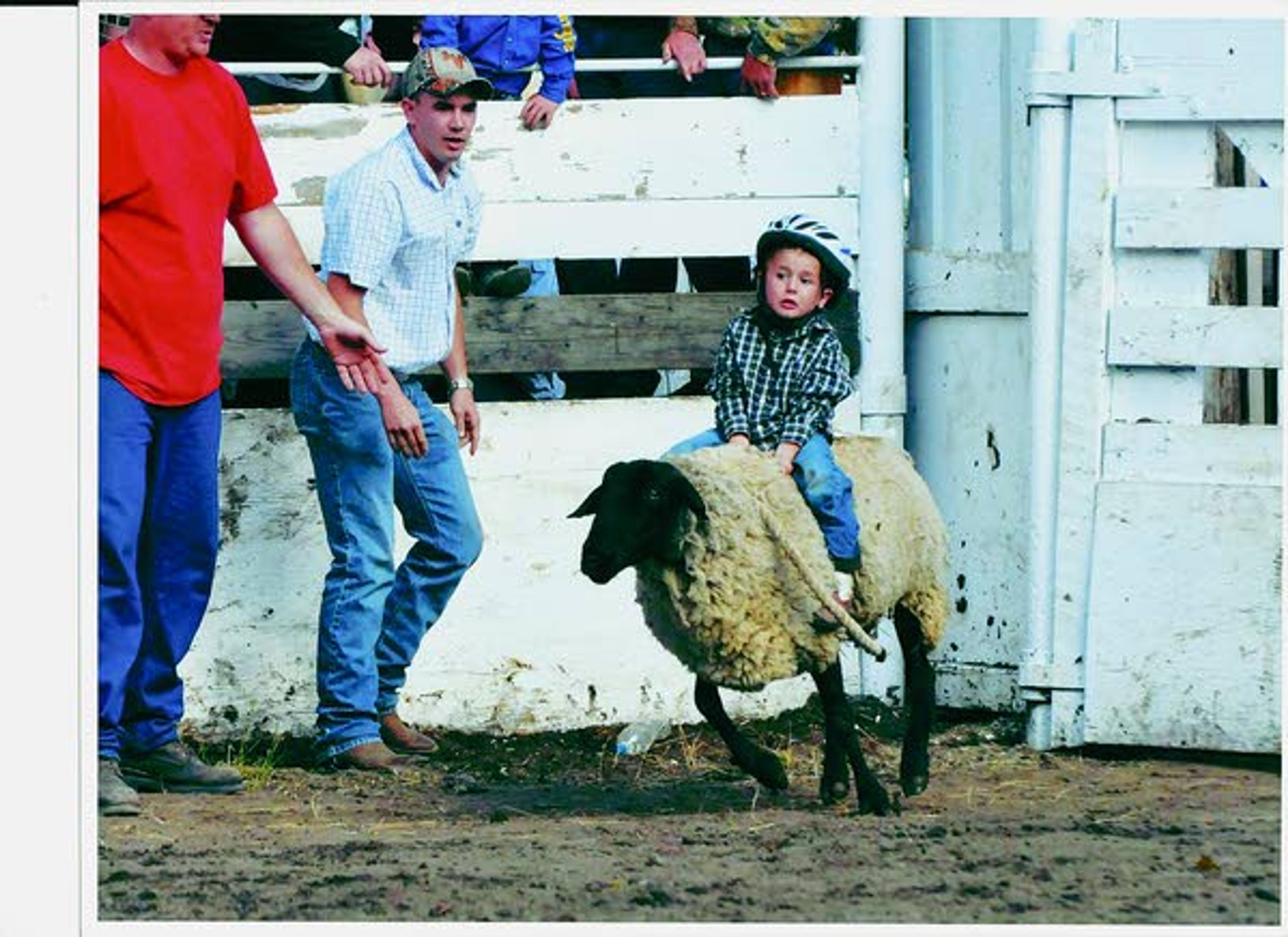 Daily News reader Janell Willson submitted this photo of Brit Blevins, 4, taken at the 2012 Winchester Open Rodeo. Brit is the son of Cole and Jamie Blevins of Lewiston. This was Brit’s first rodeo, and he placed second in mutton bustin’. Dad Cole is also in the picture.