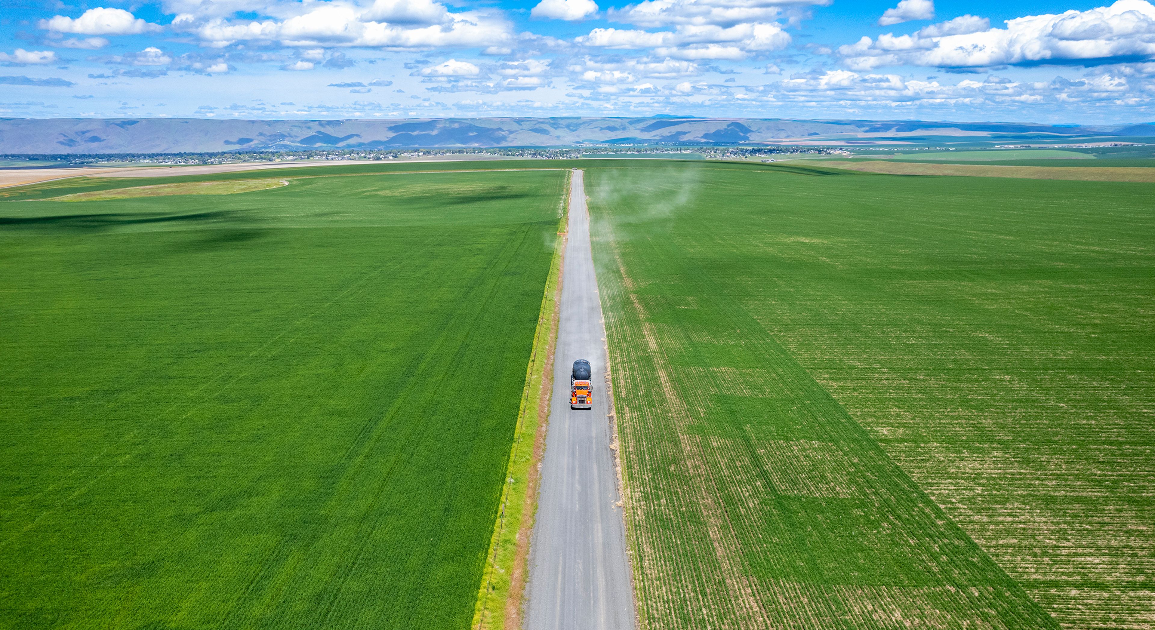 A truck drives between fields of young wheat Tuesday on Rosenkrantz Road south of Lewiston.