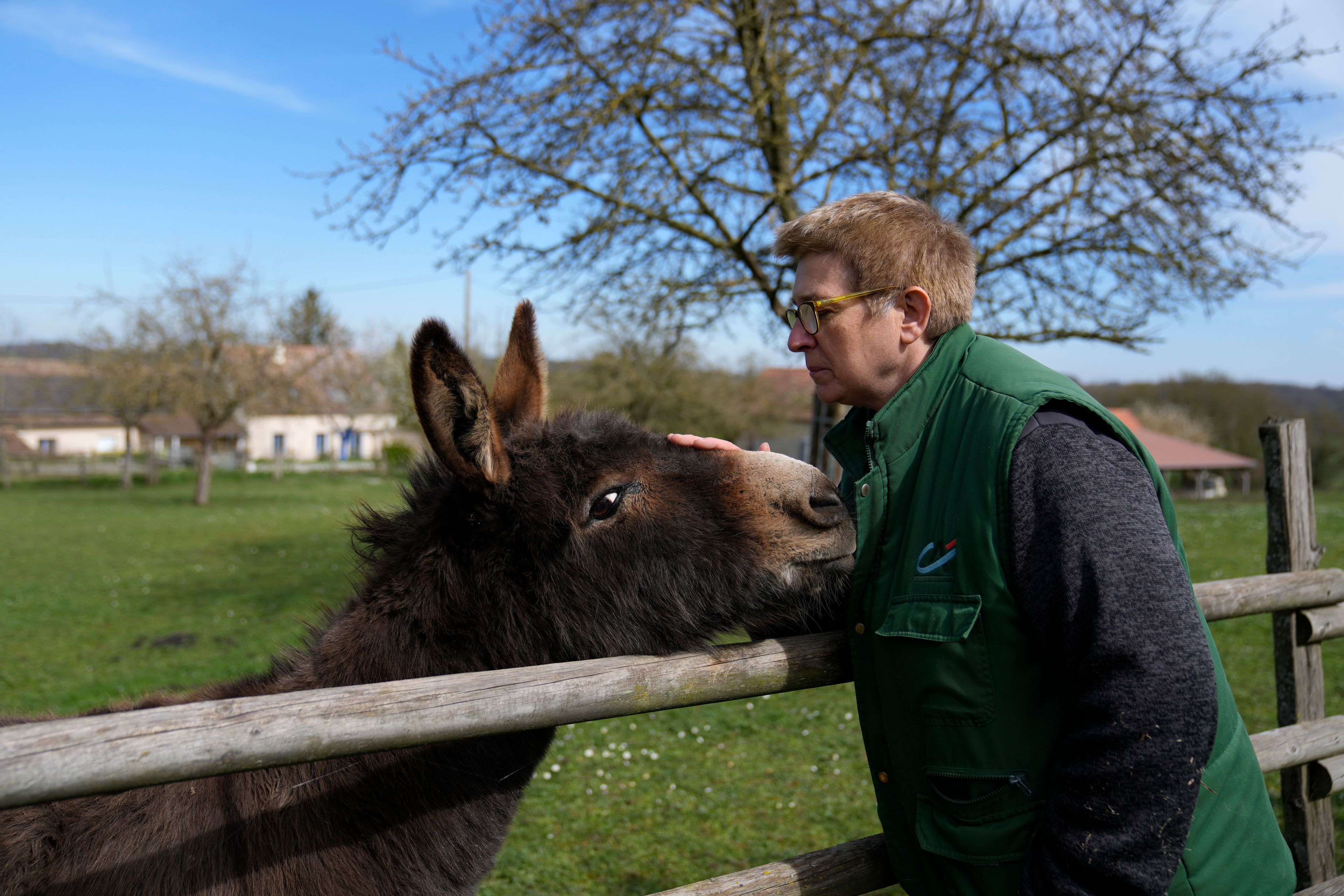 Farm owner Isabelle Leballeur pets her donkey in her farm in Pruille-Le-Chetif, western France, Friday, March 18, 2022. Farmers worldwide are weighing whether to change their planting patterns and grow more wheat this spring as Russia's war in Ukraine has choked off or thrown into question grain supplies from a region known as “the breadbasket of the world.” (AP Photo/Francois Mori)