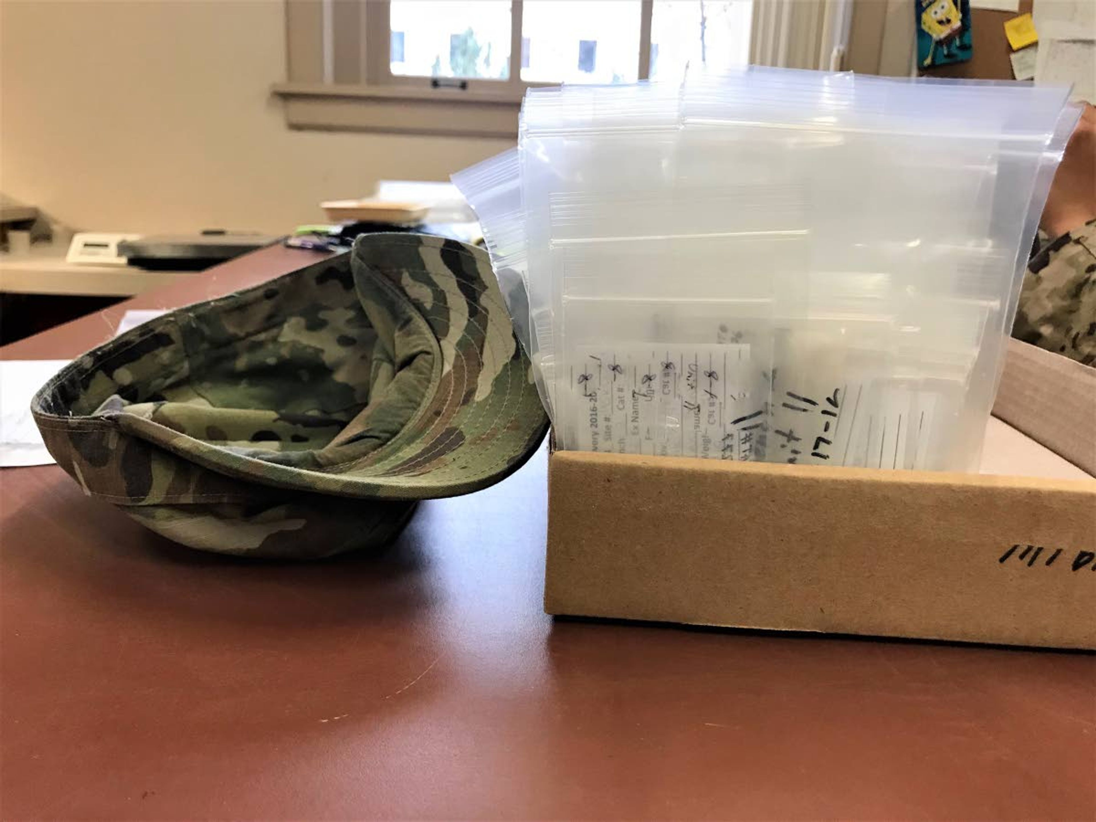 Archaeological matter sorted by veterans in the Veterans Curation Program sits in individually packaged bags inside the WSU Anthropology Museum.