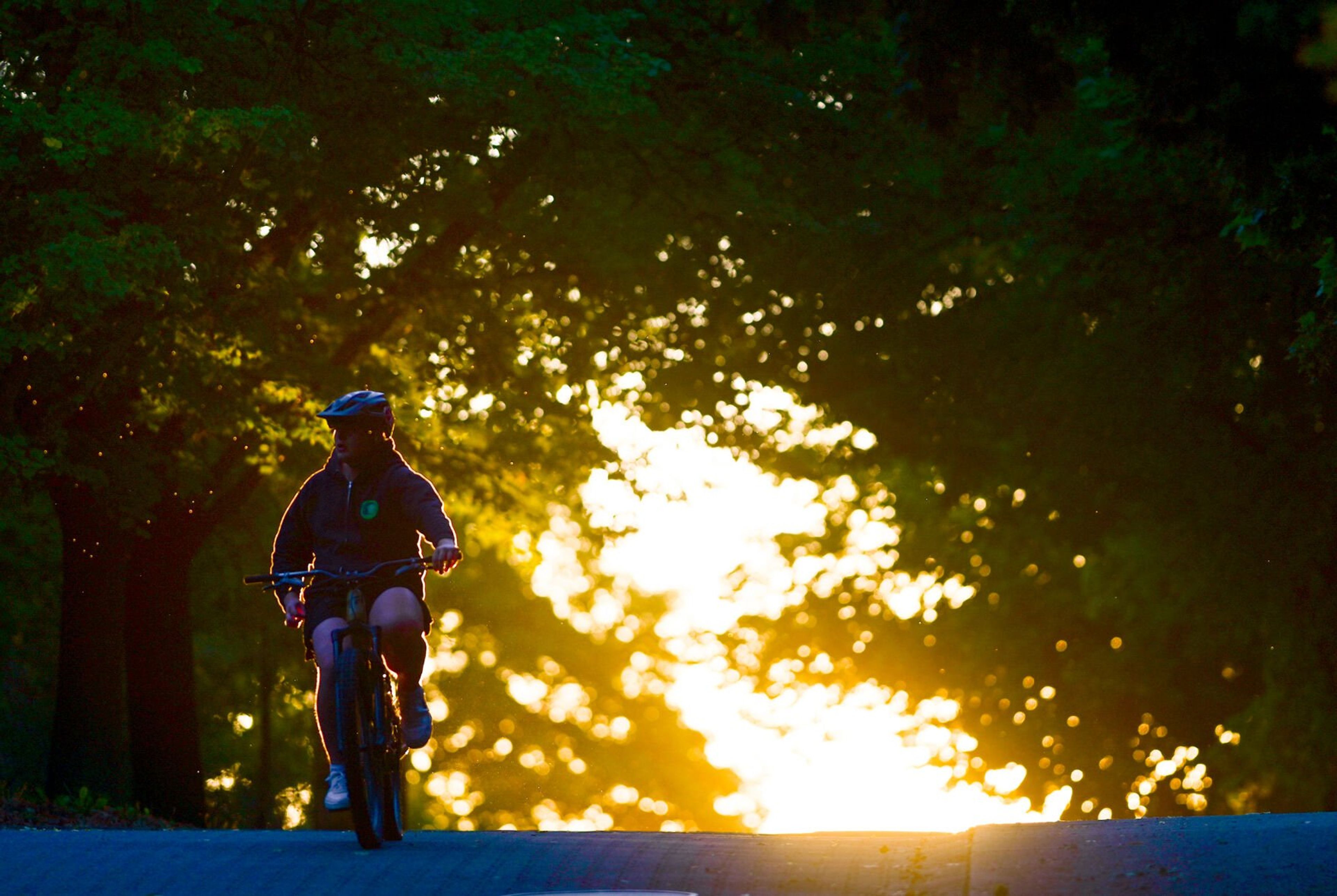 A cyclist is backlit by the setting sunlight on the University of Idaho campus Wednesday in Moscow.