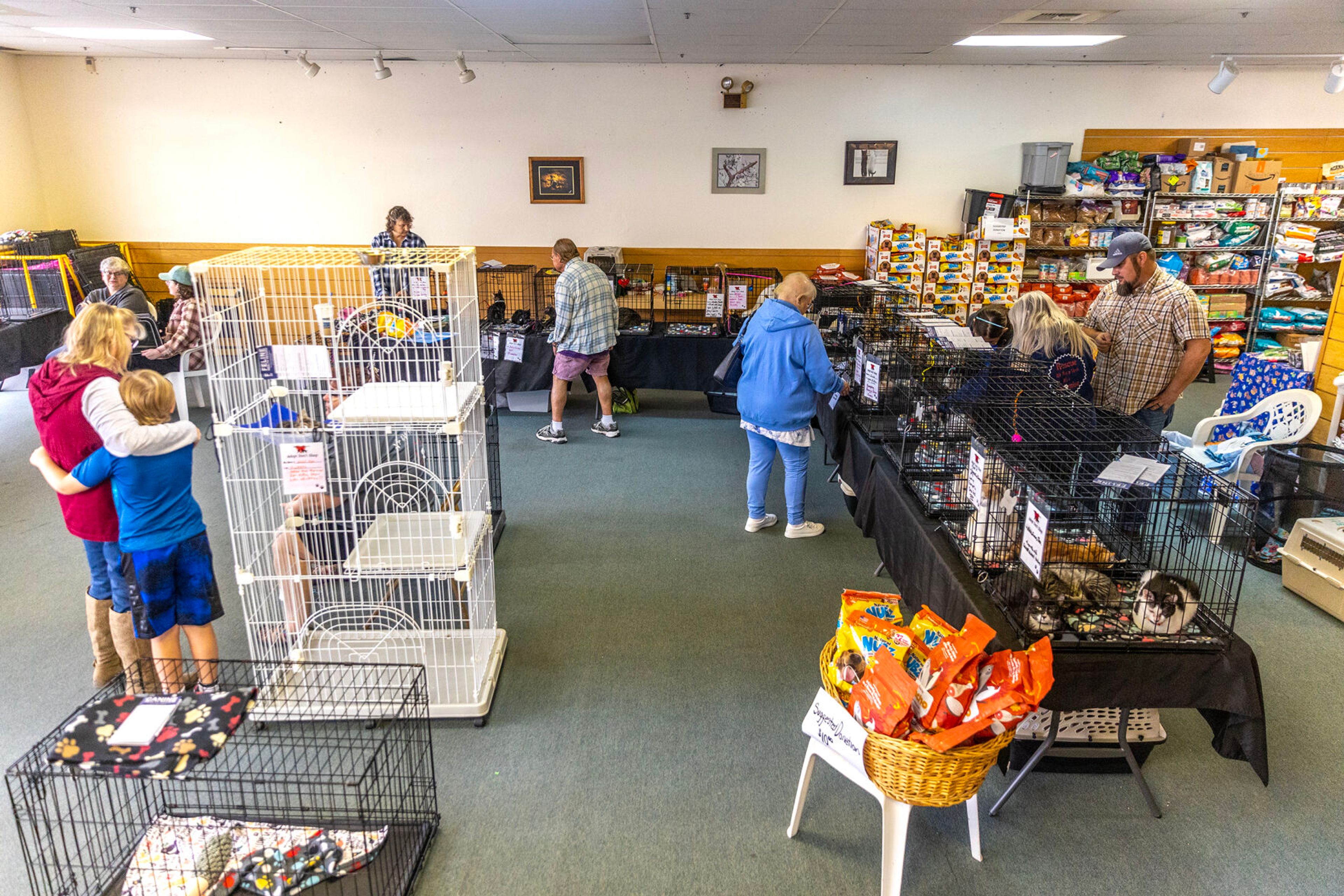 People survey the many cats up for adoption at the Helping Hands Adoption Event Saturday, August 30, in Lewiston. The event had over 100 cats up for adoption.