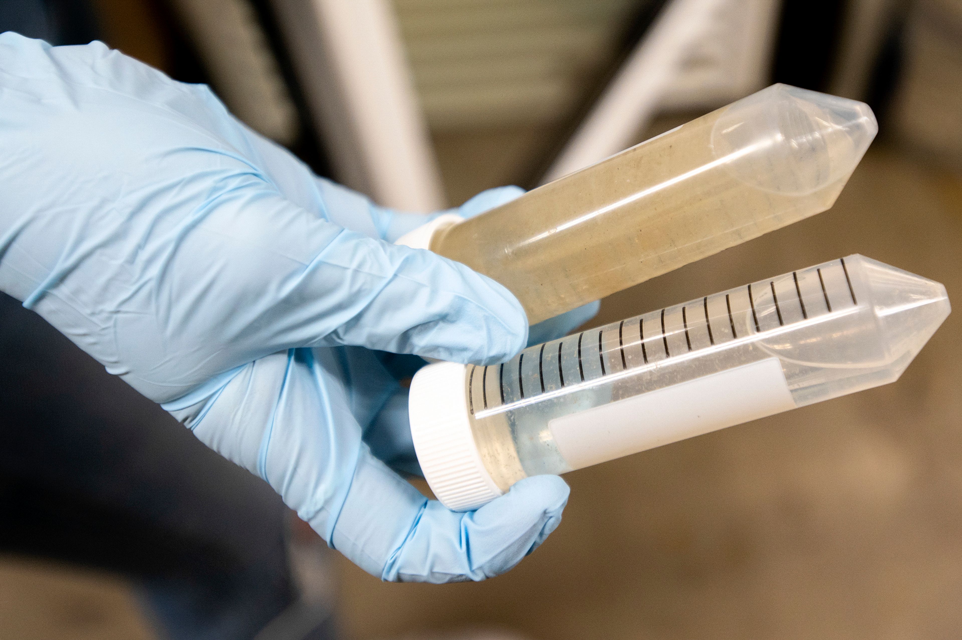 Research specialist Solana Narum of University of Idaho’s Department of Civil and Environmental Engineering holds wastewater samples collected from Julietta, top, and Kendrick inside the Buchanan Engineering Laboratory Friday afternoon on campus in Moscow. Solana said that auto-samplers are set up in inlets throughout the region and are collected three days a week.