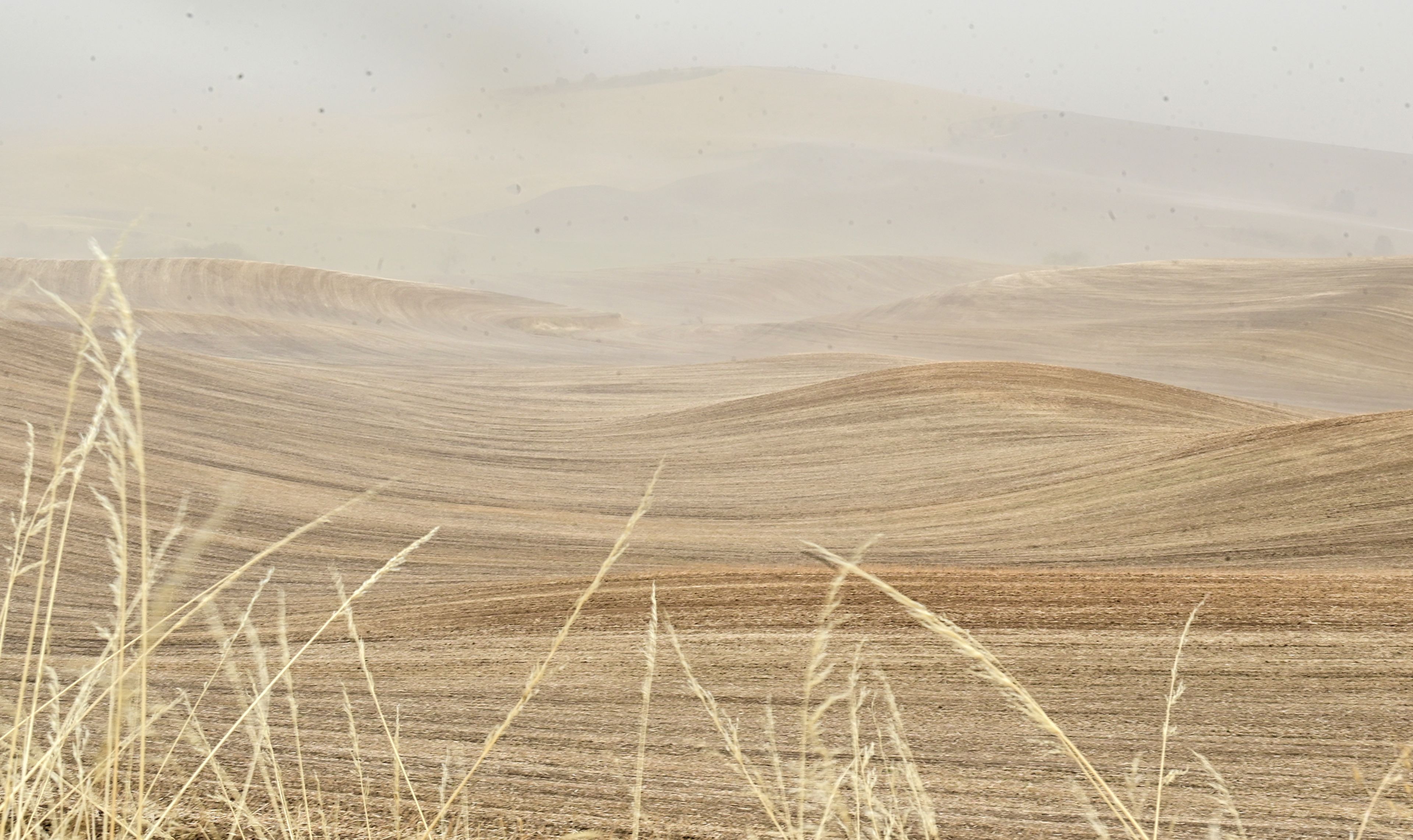 Heavy winds carry dust over hills Friday in Moscow. The region was faced with dust storms during the afternoon.