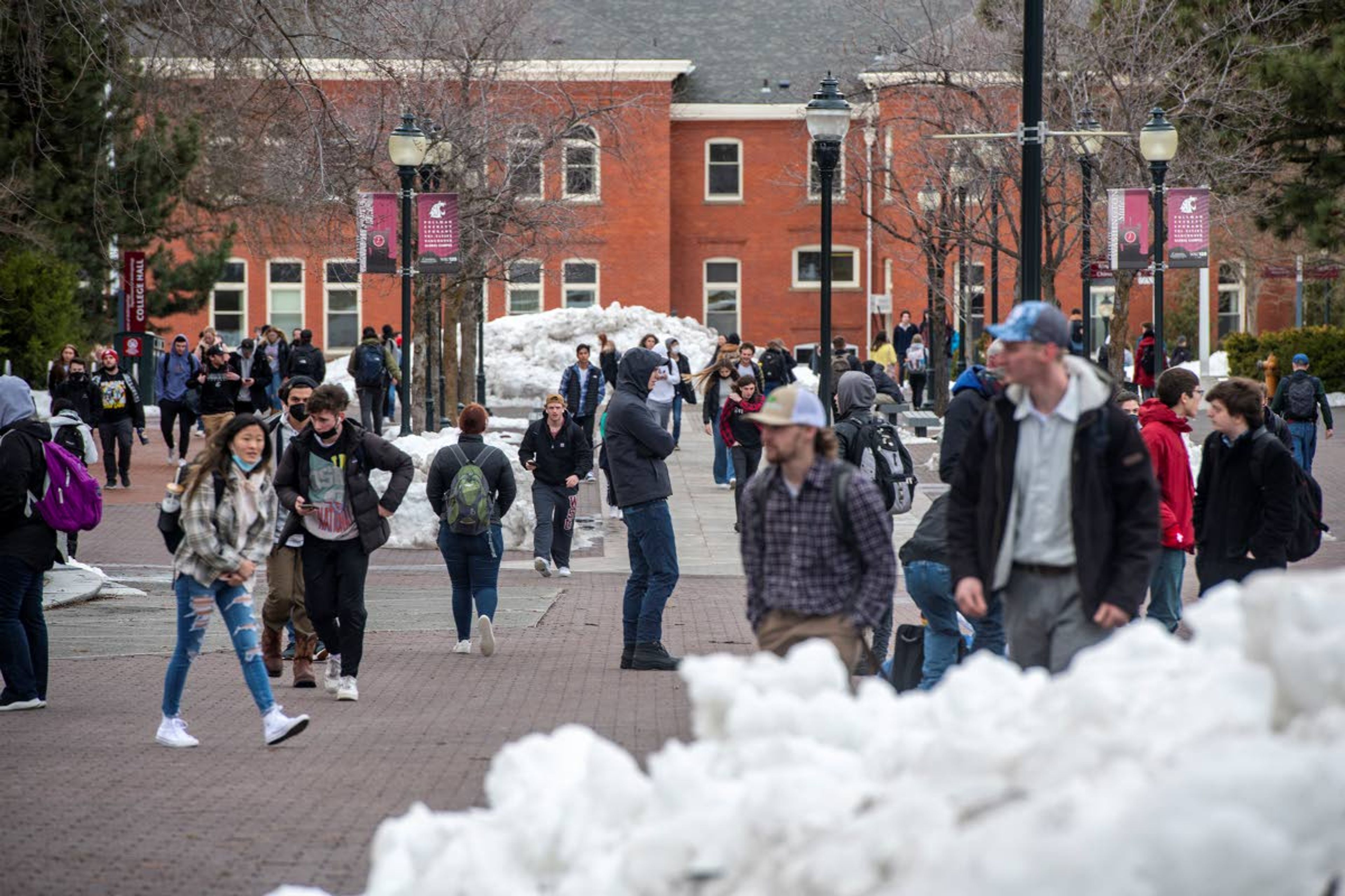 Washington State University students walk along the Glenn Terell Mall on Wednesday as spring classes begin two days later than expected on the Pullman campus.