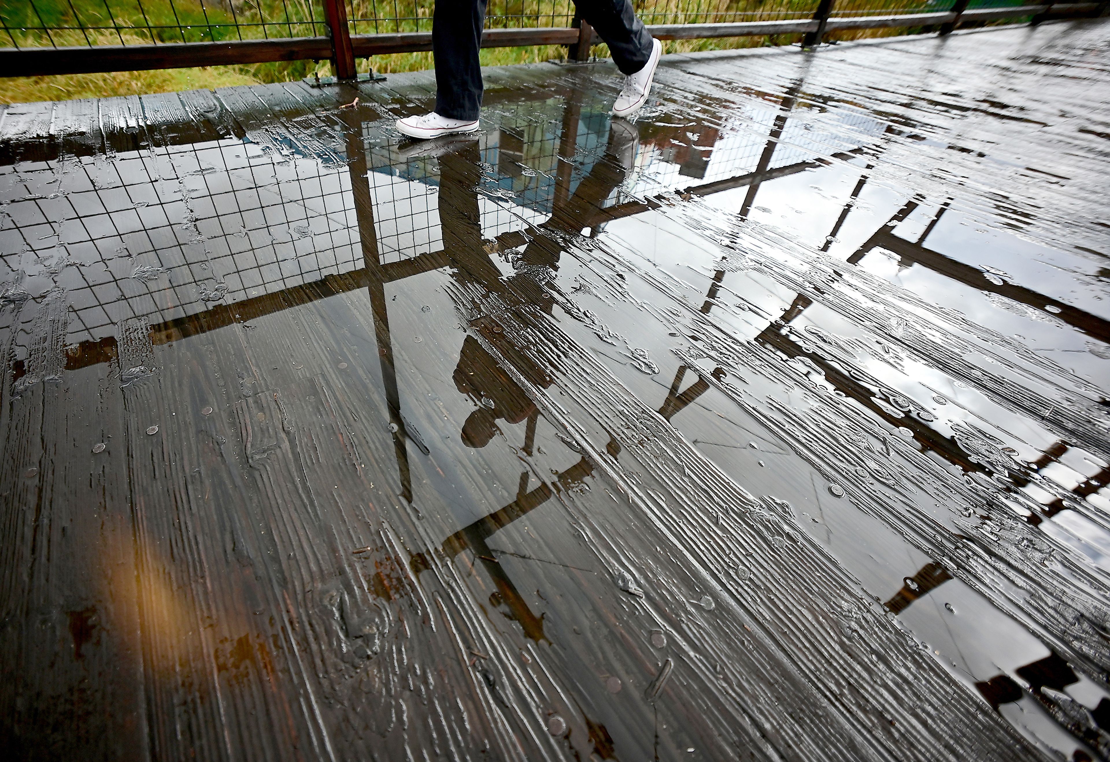 Rain collects Monday on the pedestrian bridge over the South Fork of the Palouse River in Pullman, reflecting a passerby. Rain fell throughout the day in the region.