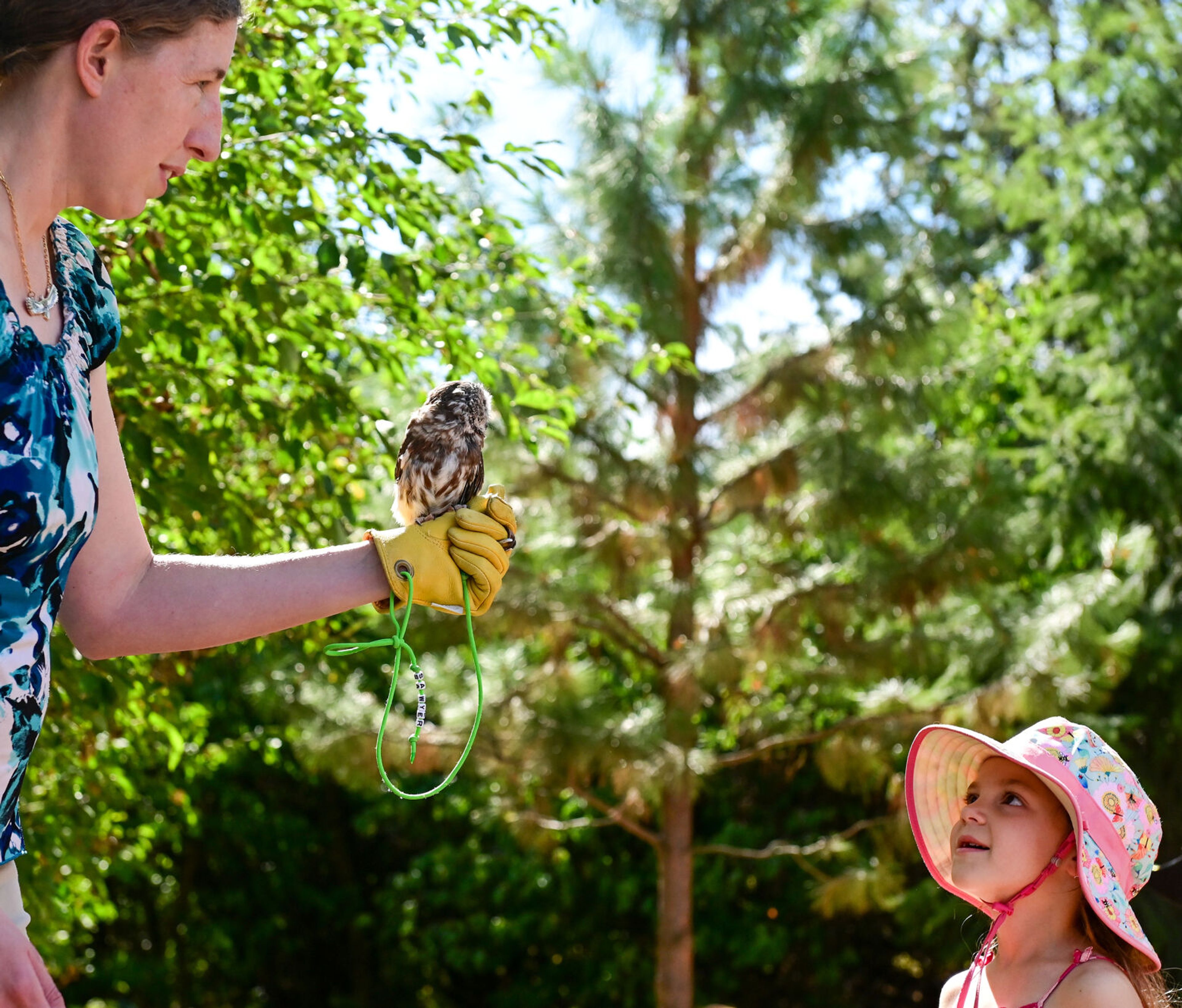 Marcie Logsdon, left, a professor and wildlife veterinarian at Washington State University, carries Sawyer, a Northern saw-whet owl, to show to members of Palouse Roots, Palouse-Clearwater Environmental Institute’s nature school, including Quinn Hinch, 6, before the release of a Western screech owl at the nature center Thursday in Moscow.