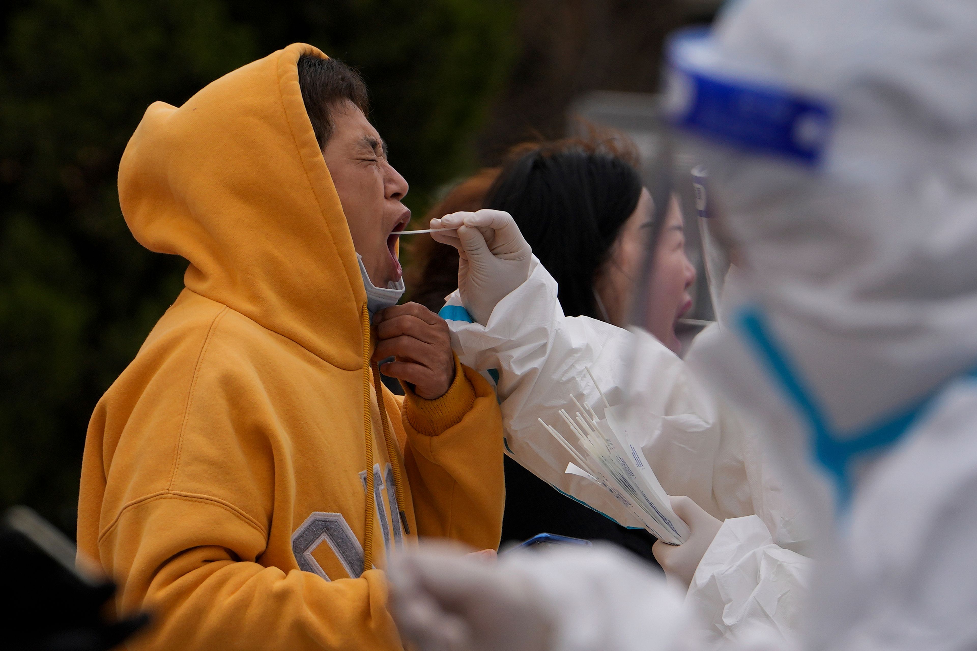 FILE - Residents get their throat swab at a coronavirus testing site near residential buildings, Wednesday, April 6, 2022, in Beijing. An extra-contagious version of the omicron coronavirus variant has taken over the world. The variant scientists call BA.2 is now dominant in at least 68 countries, including the U.S. The World Health Organization says it makes up about 94% of sequenced omicron cases submitted in the most recent week to an international database. (AP Photo/Andy Wong, File)