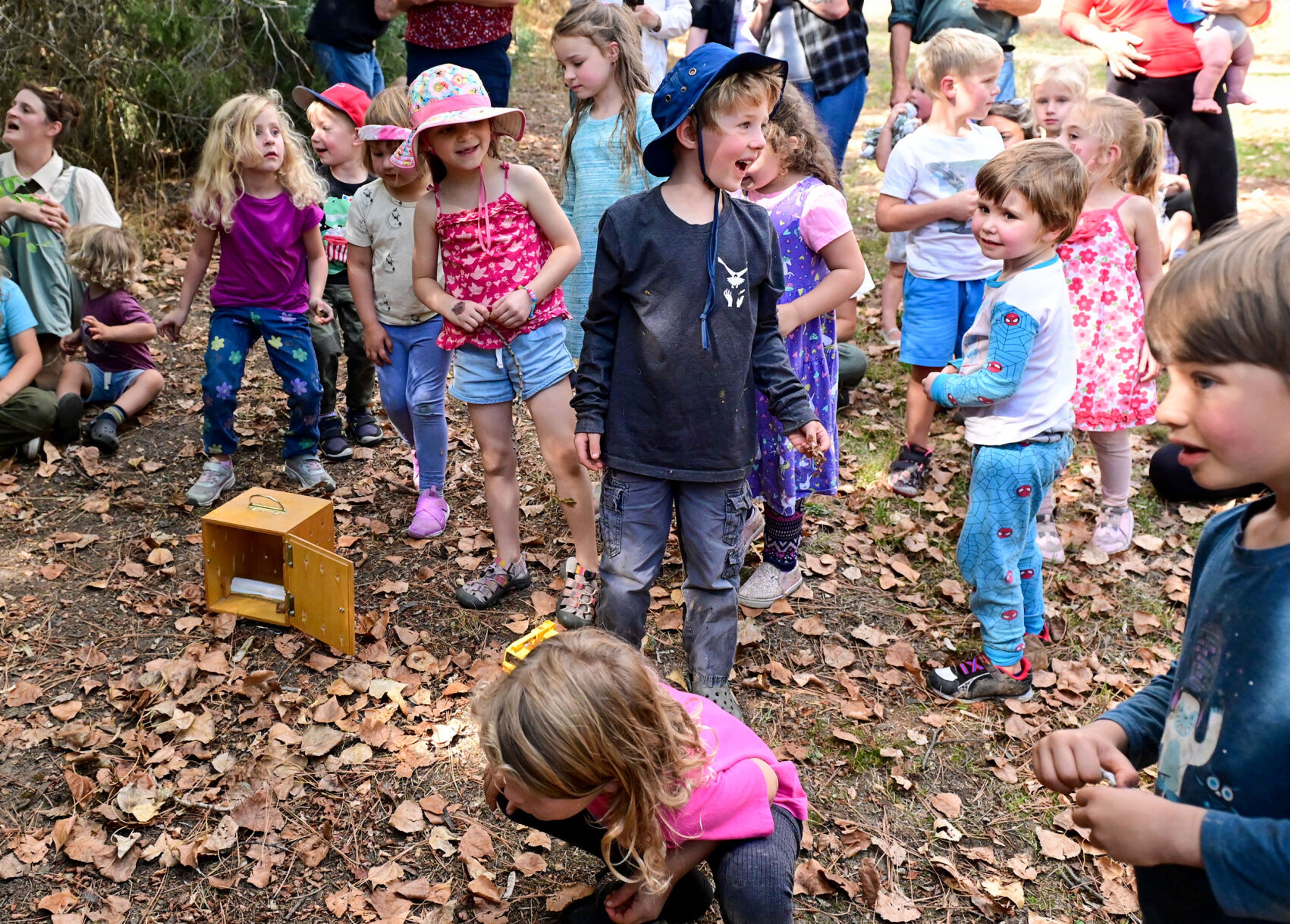 Students of Palouse Roots, Palouse-Clearwater Environmental Institute’s nature school, react to after the release of a Western screech owl at the nature center Thursday in Moscow.