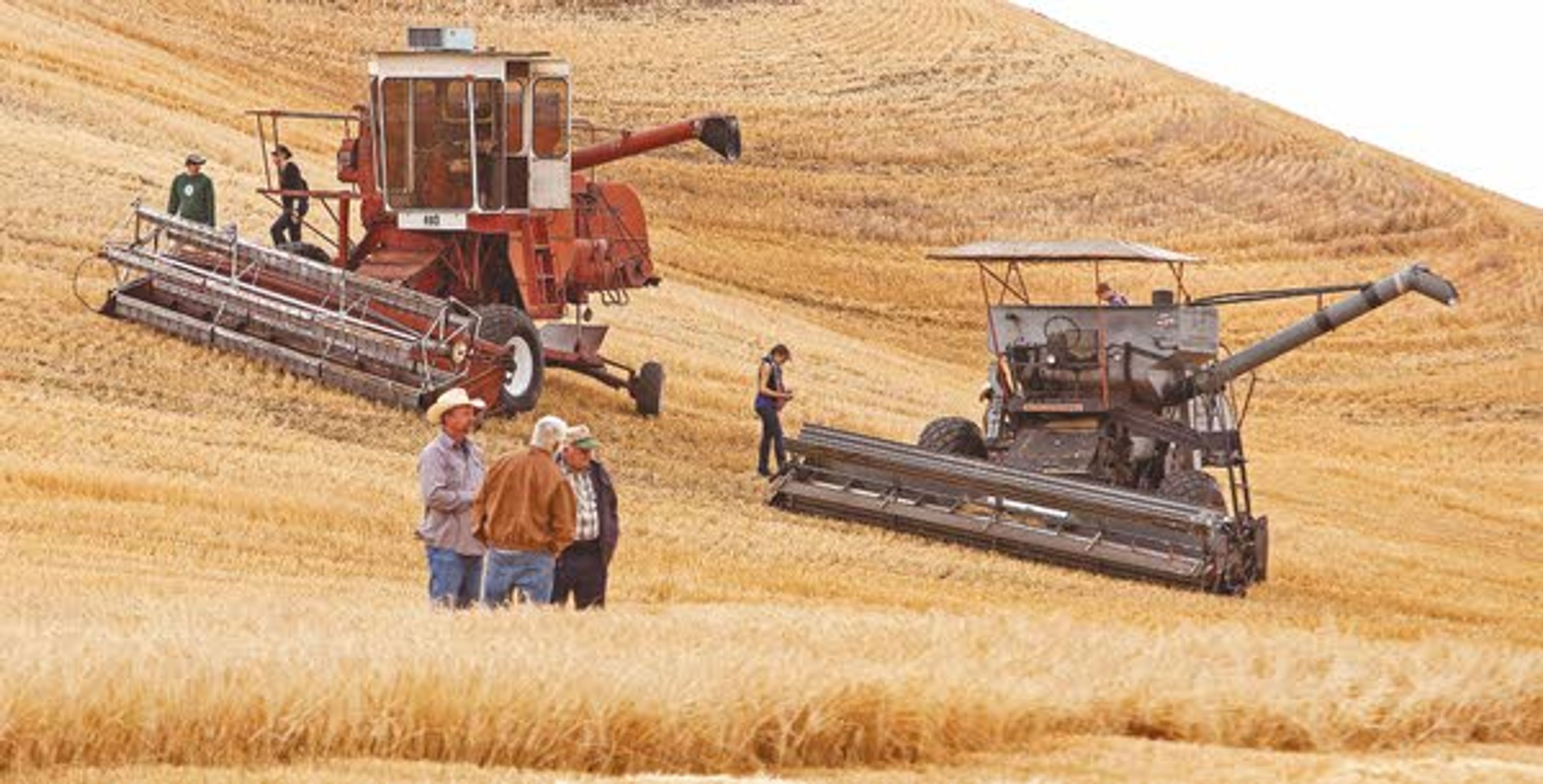 Attendees look over 1960s-era combines on display during the rained-out annual Palouse Empire Threshing Bee on Monday, Sept. 2, 2013, outside the Palouse Empire Fairgrounds in Colfax.