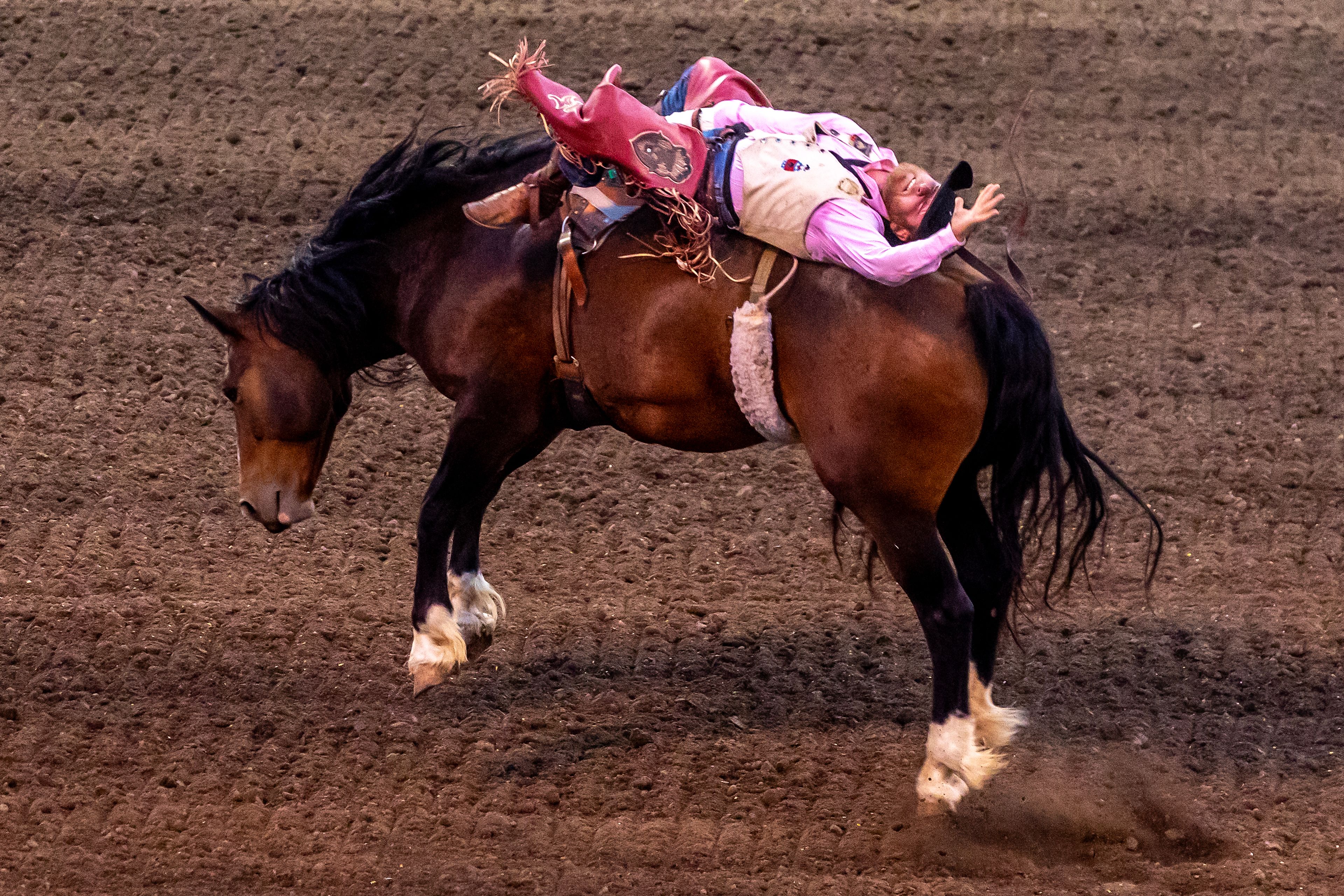 Tim Murphy rides Champayne Toast in the bareback competition on day 3 of the Lewiston Roundup.