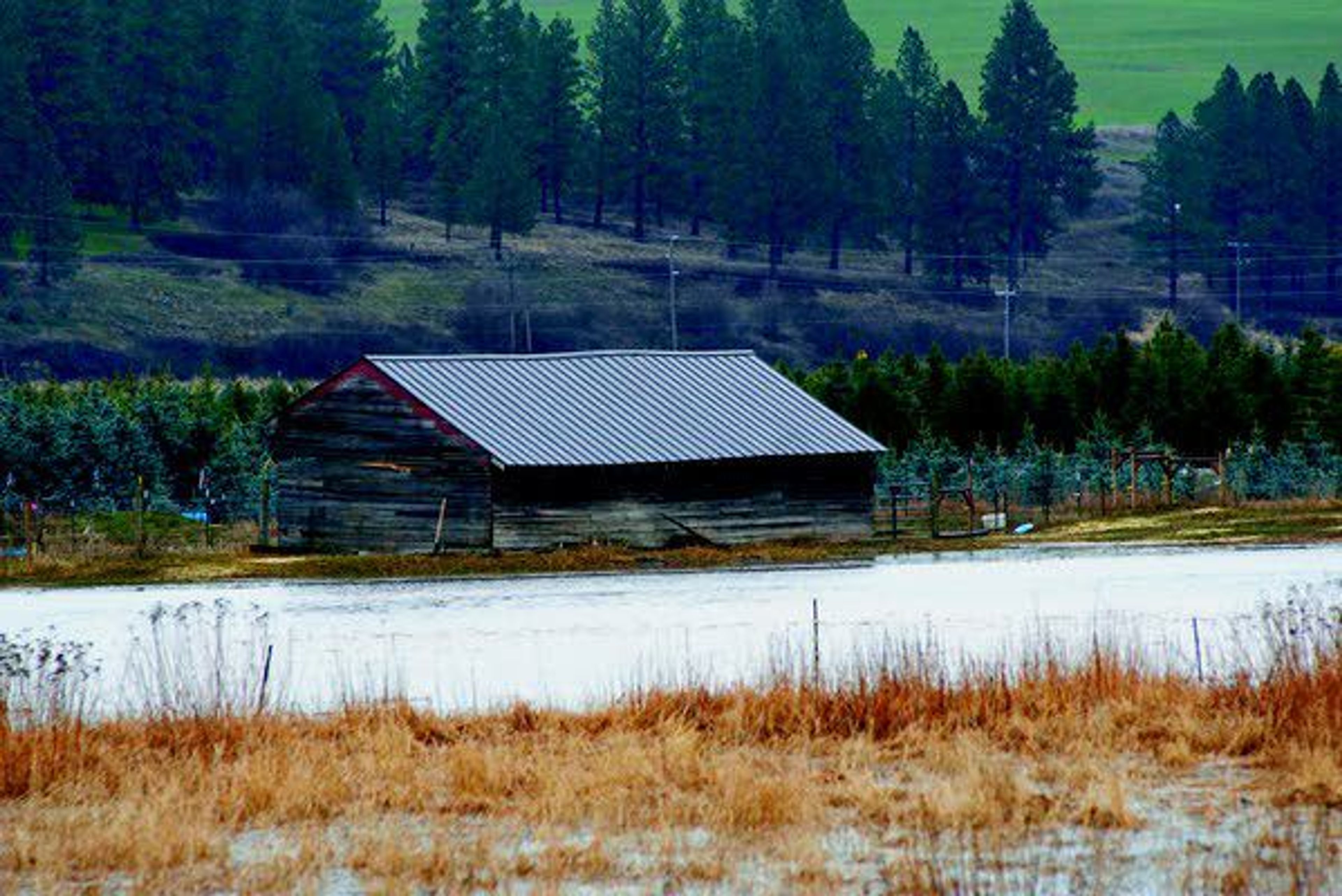 Rising water in the Palouse River threatens an outbuilding near Potlatch March 14.