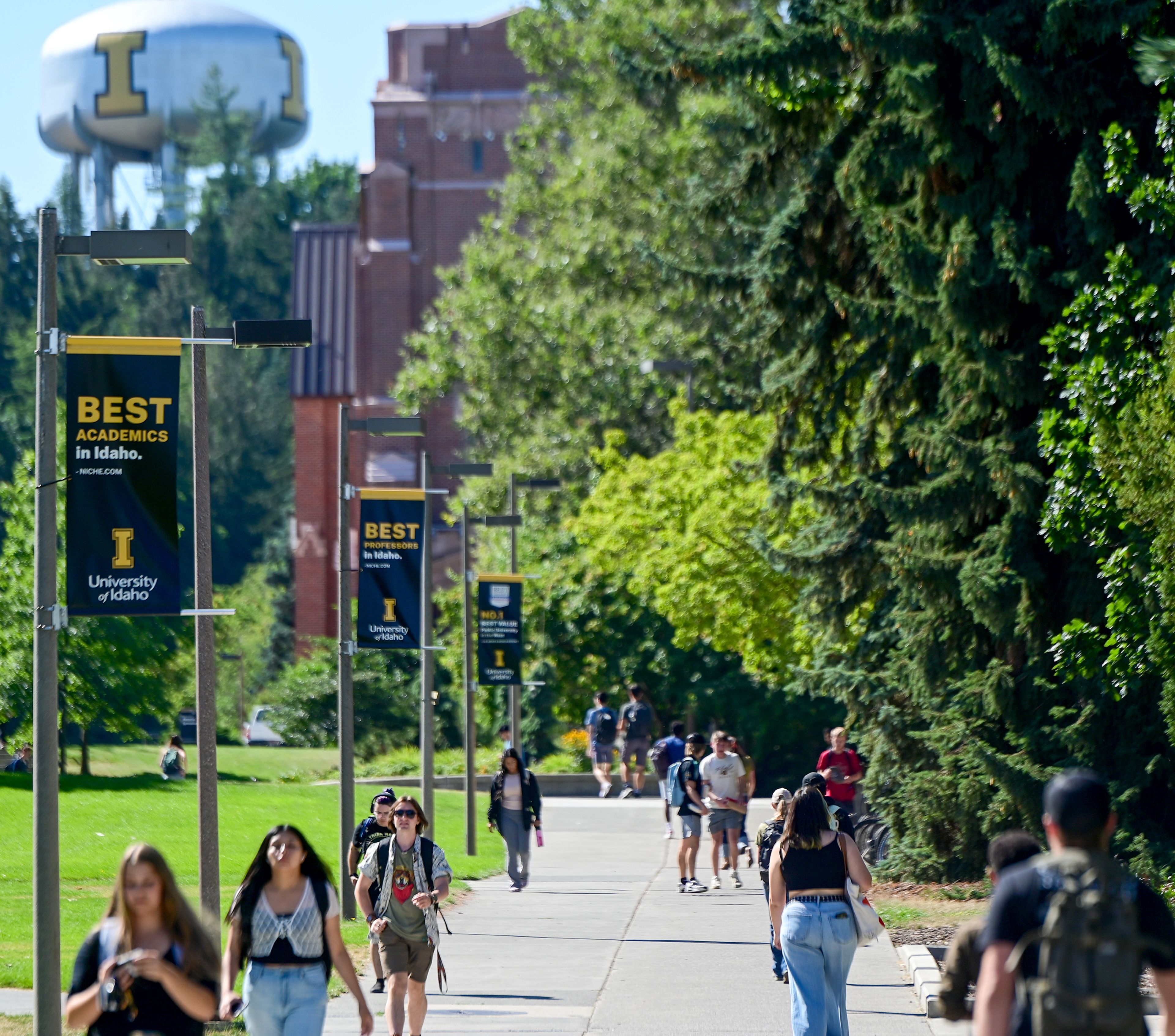 UI reports largest freshman class in school history