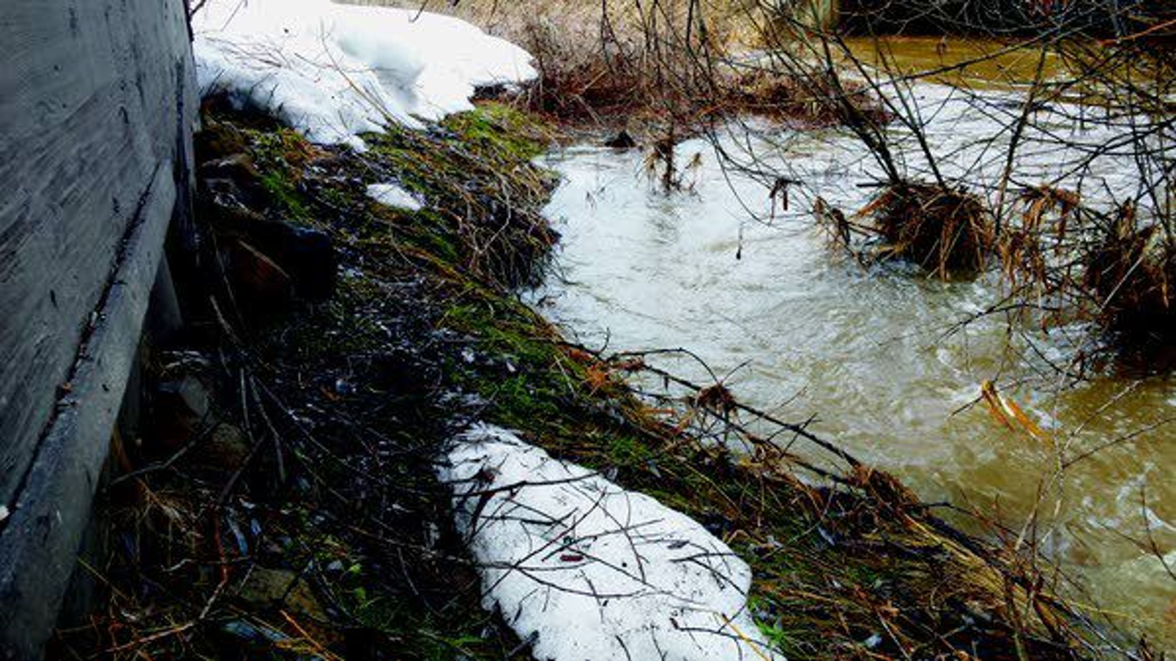 Mitchell Nelson, manager of Little Bear Creek Cafe in Troy, said the creek rose last week to the rocks placed up against the base of the restaurant's shed.