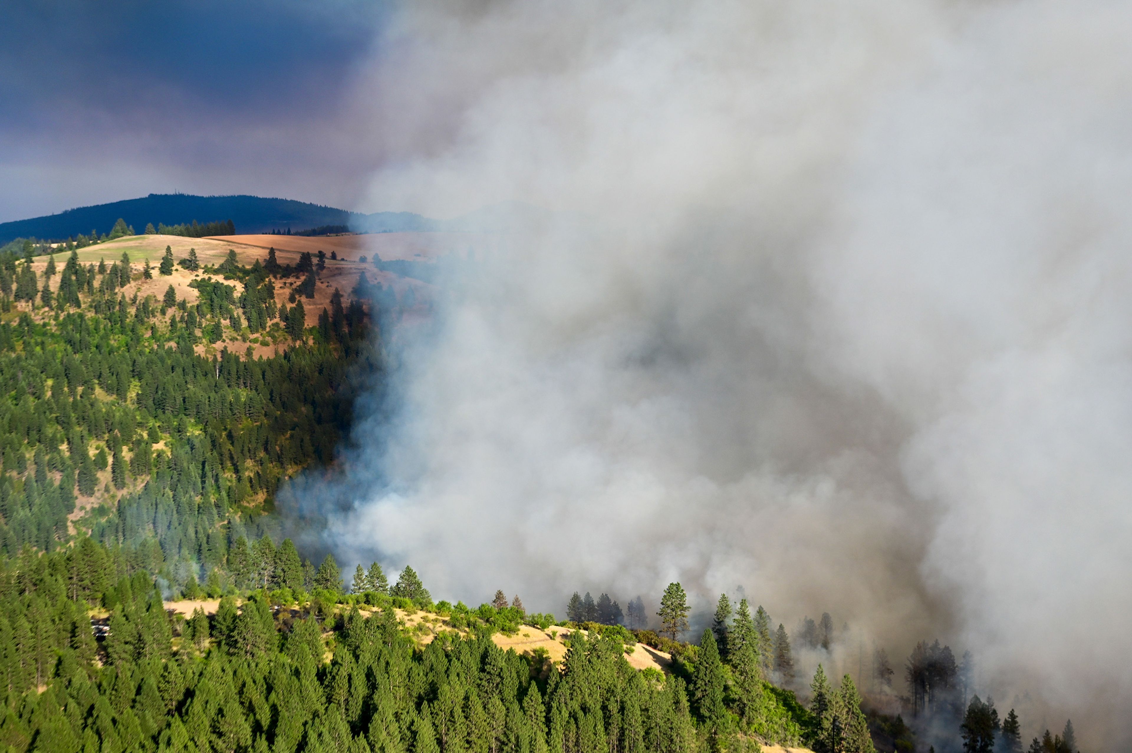 Smoke rises from a canyon in the area of Texas Ridge and Cedar Ridge roads, casting a shadow as a wildfire burns near Kendrick on Monday.