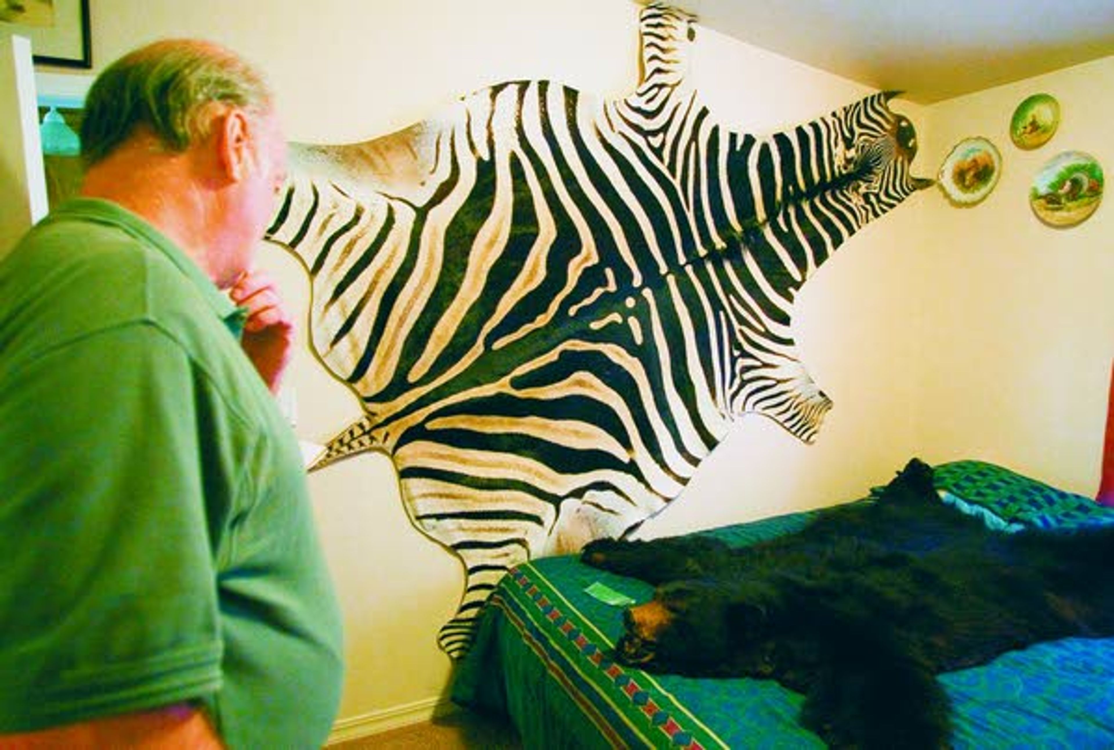 Mounting memories Juliaetta man remembers hunts through taxidermy