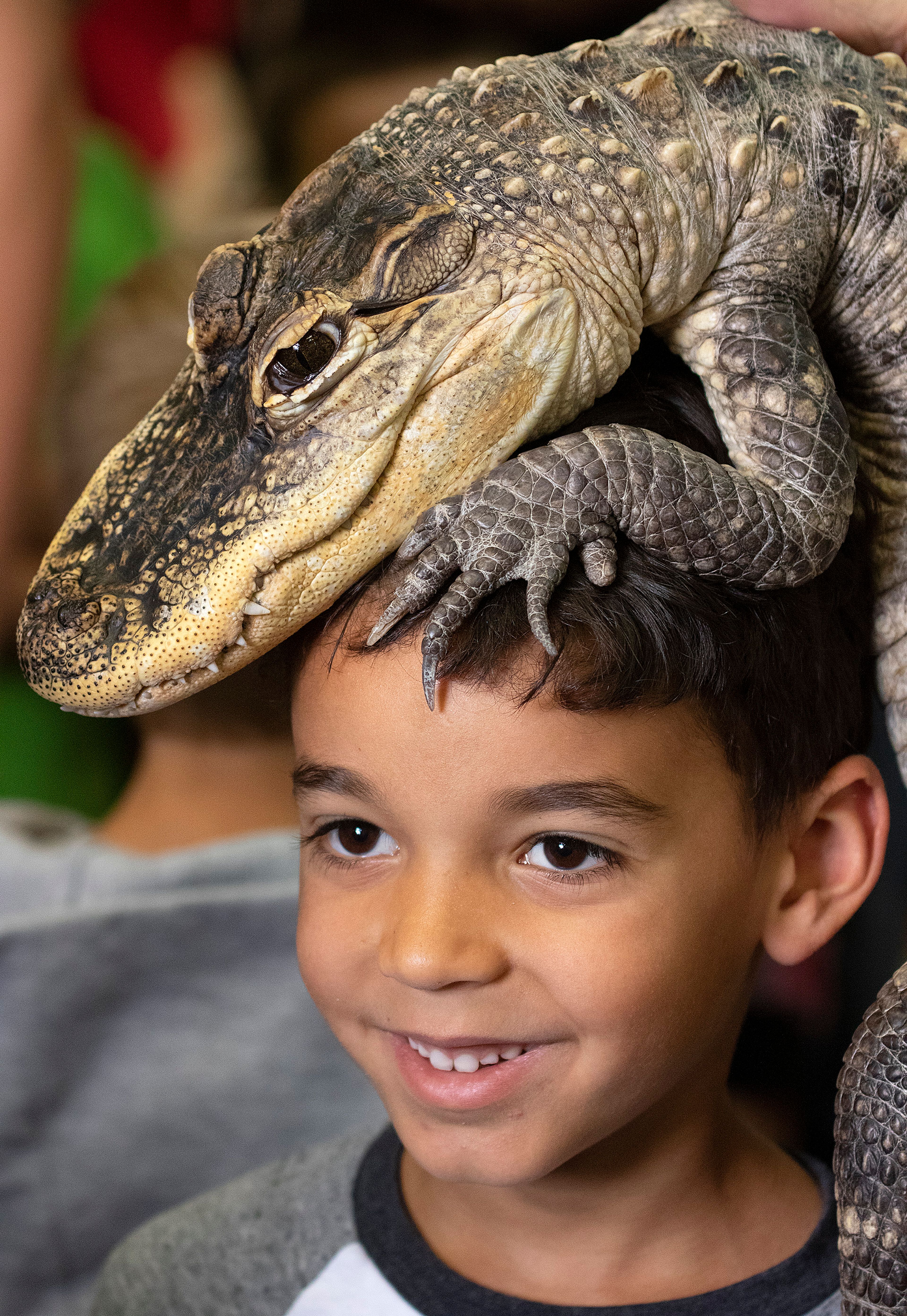 Oliver Gay, 6, of Pullman, poses with an alligator so his mother can take a picture.